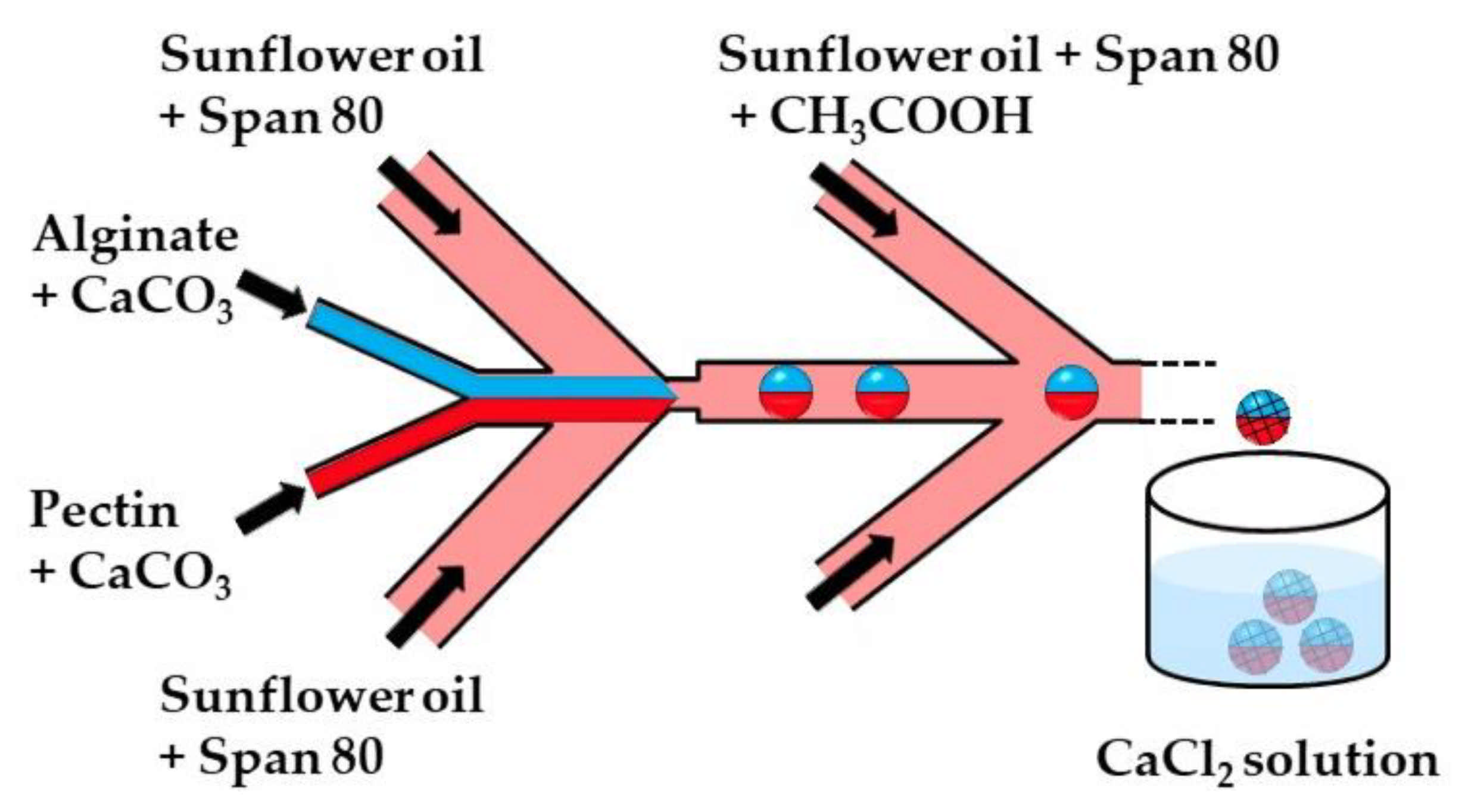 Molecules 26 03752 g003 Molecules 26 03752 g003