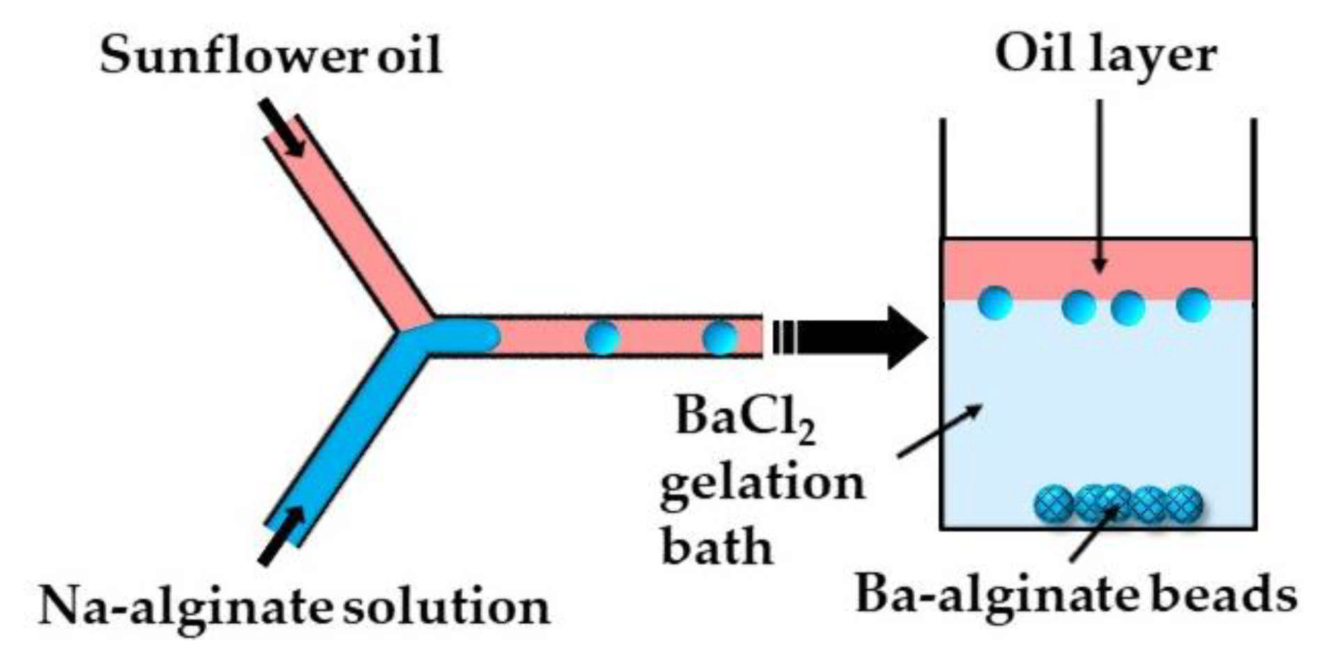 Molecules 26 03752 g006 Molecules 26 03752 g006
