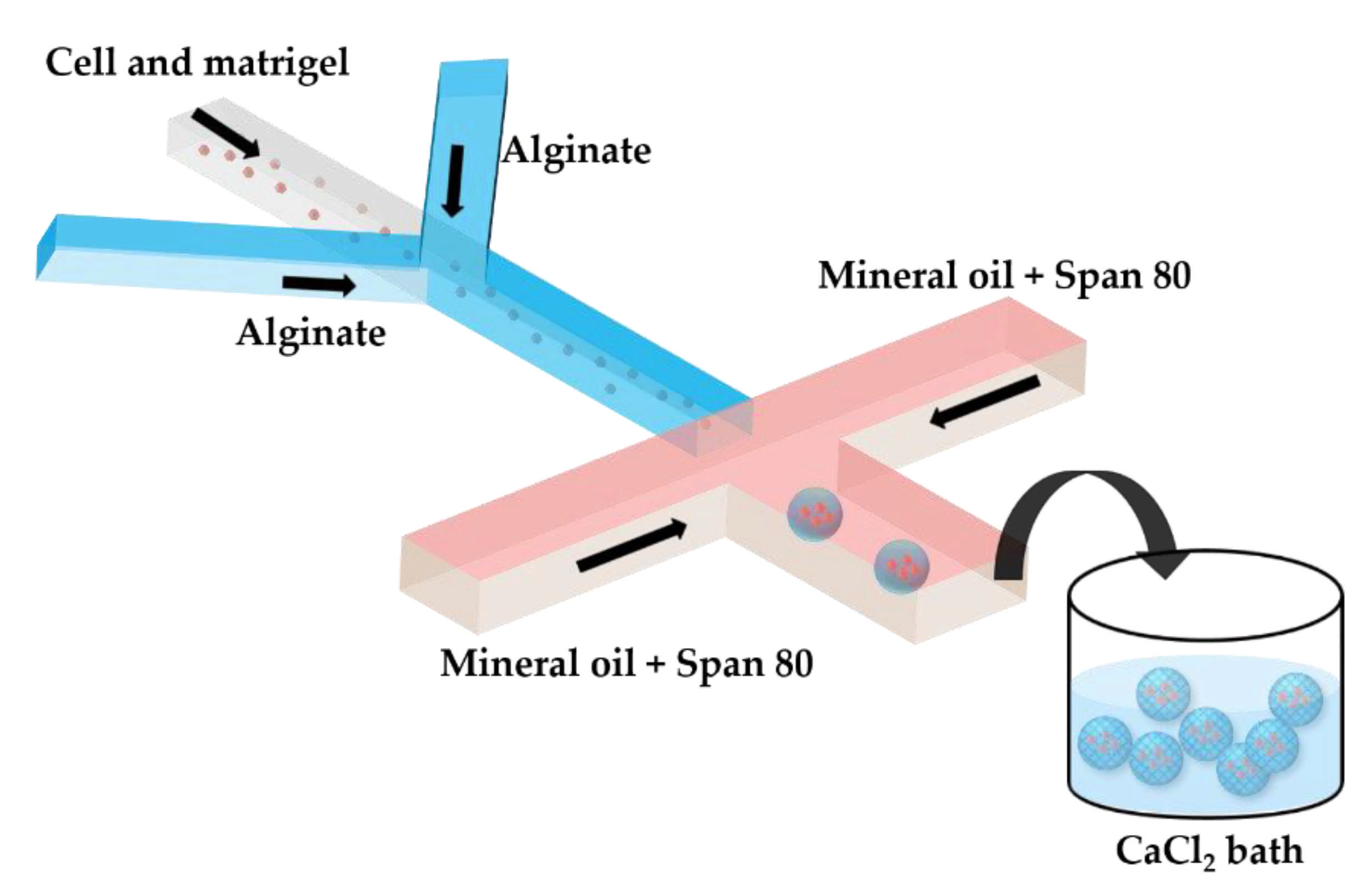 Molecules 26 03752 g007 Molecules 26 03752 g007