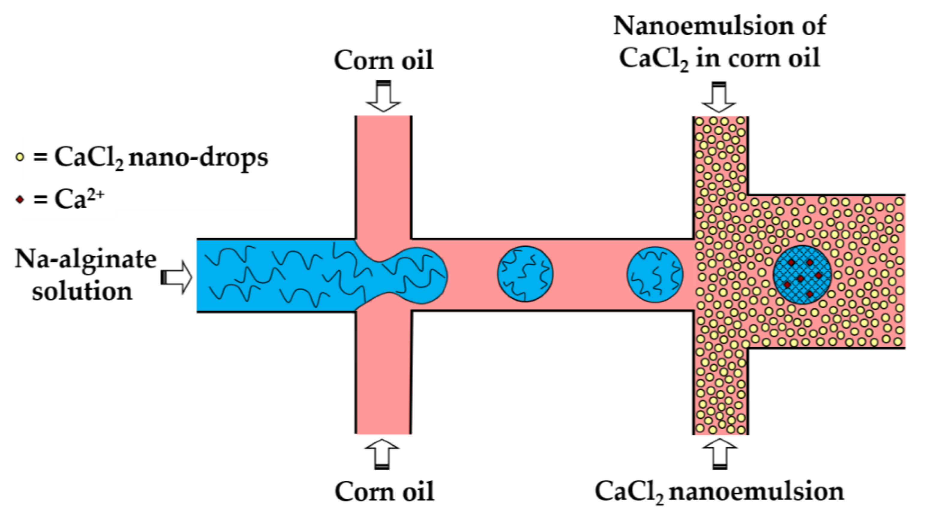 Molecules 26 03752 g008 Molecules 26 03752 g008
