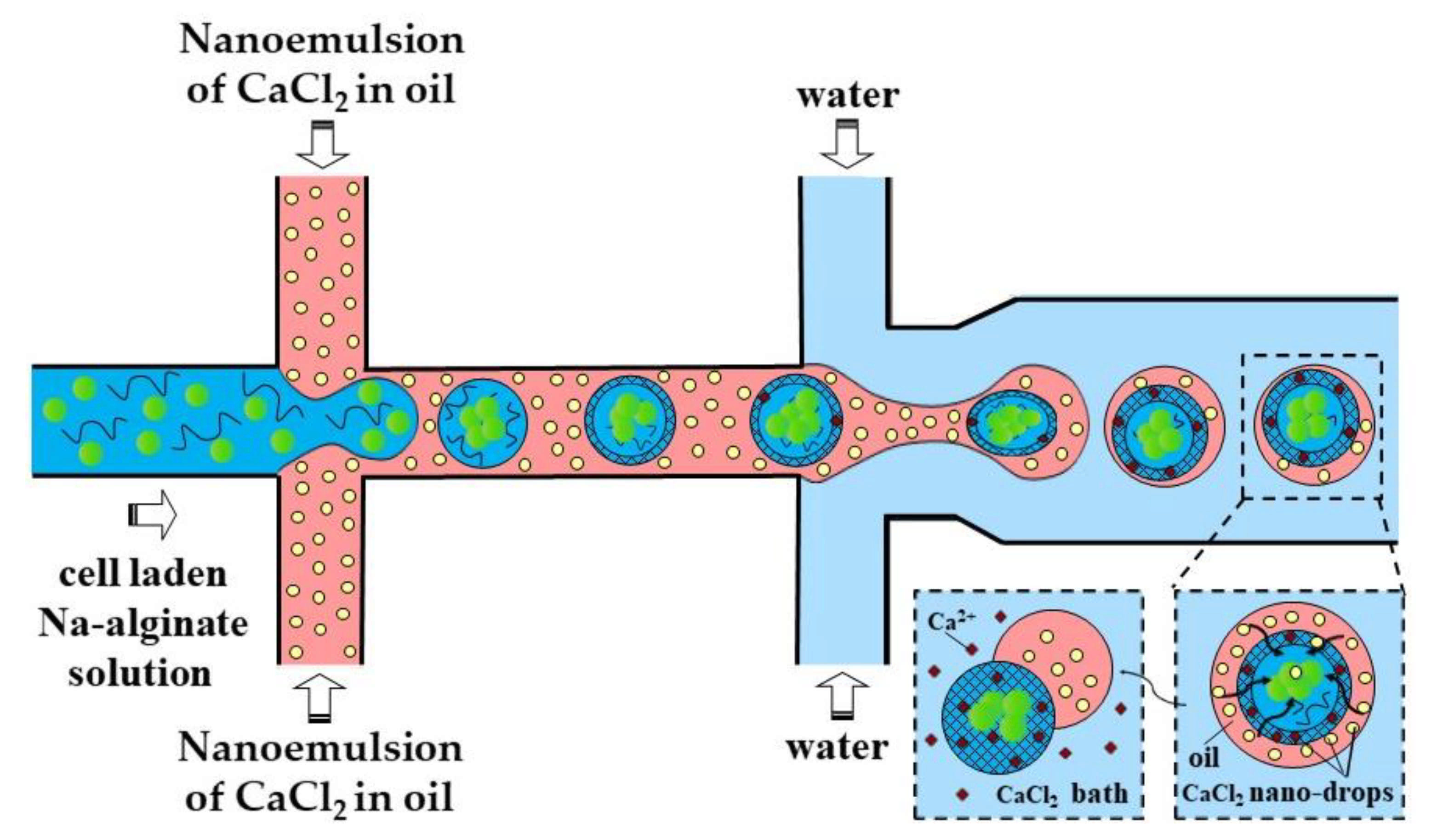 Molecules 26 03752 g009 Molecules 26 03752 g009