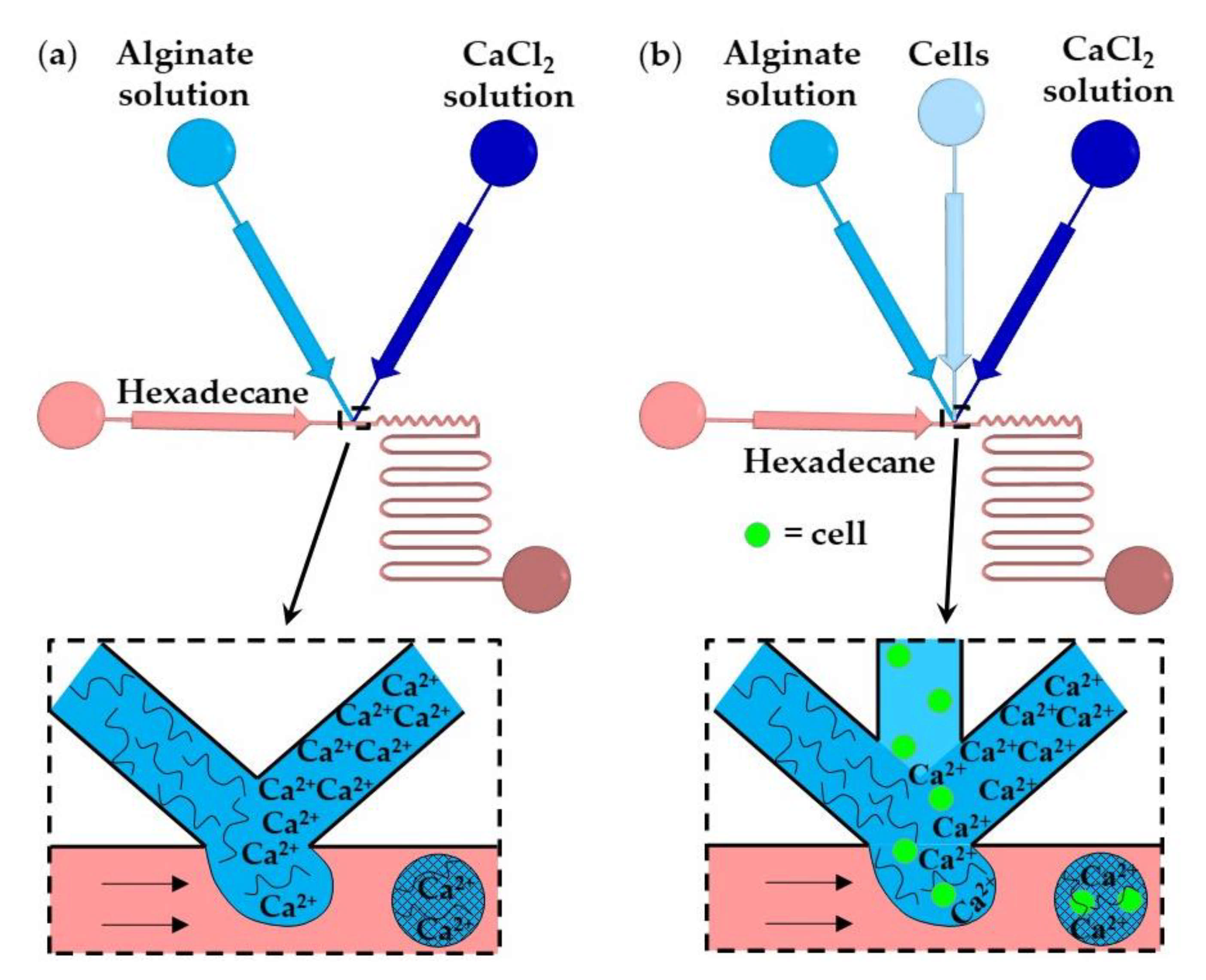 Molecules 26 03752 g011 Molecules 26 03752 g011