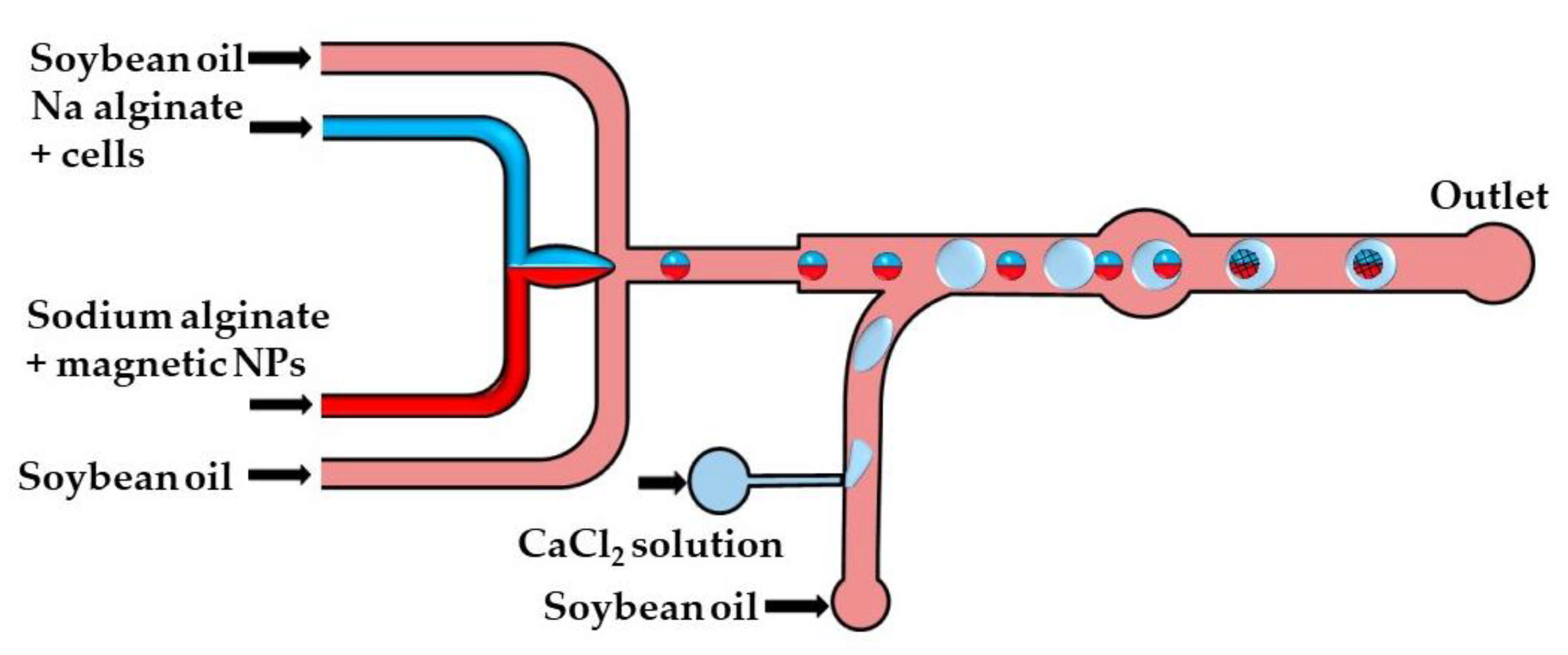 Molecules 26 03752 g014 Molecules 26 03752 g014