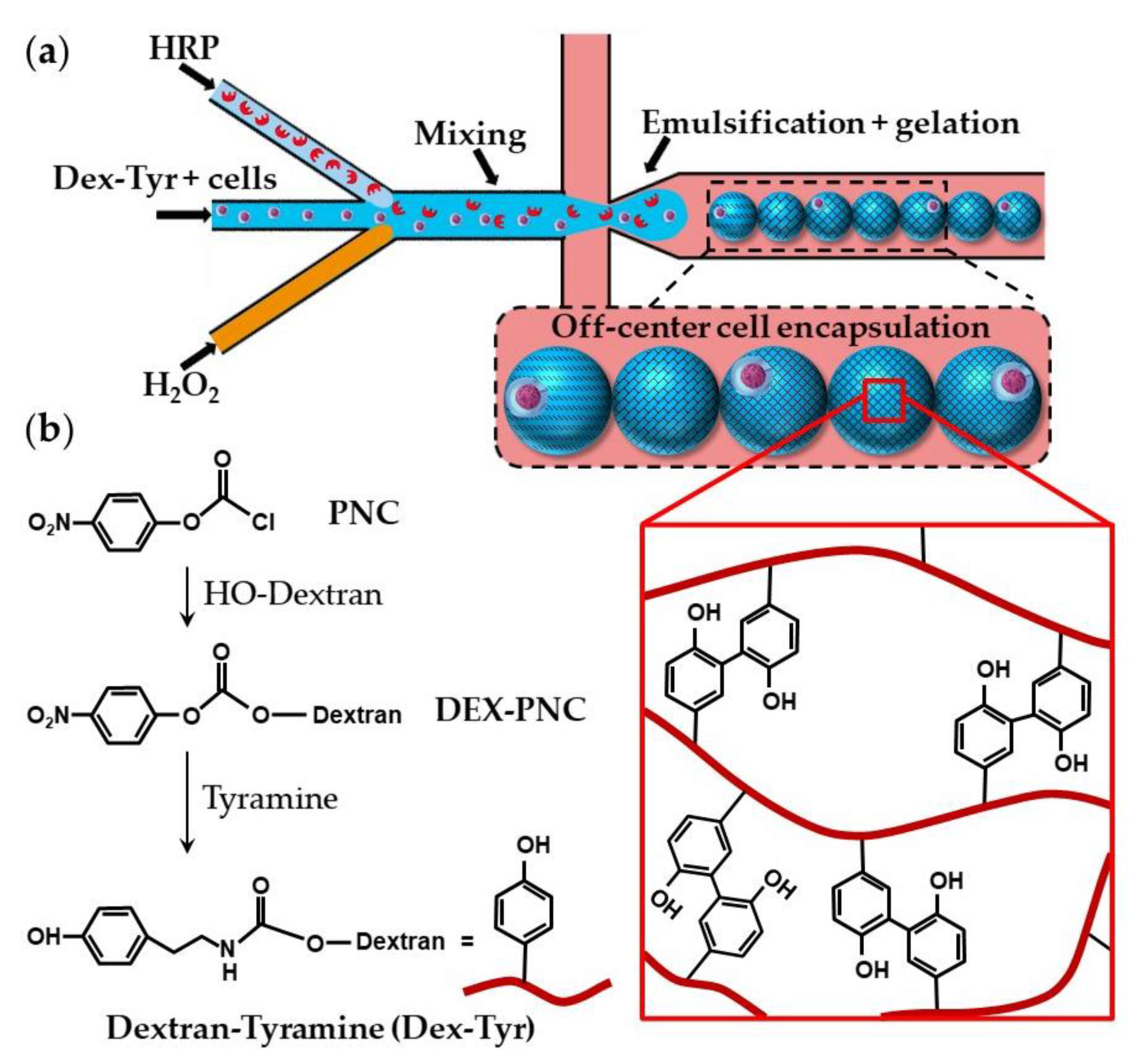 Molecules 26 03752 g019 Molecules 26 03752 g019