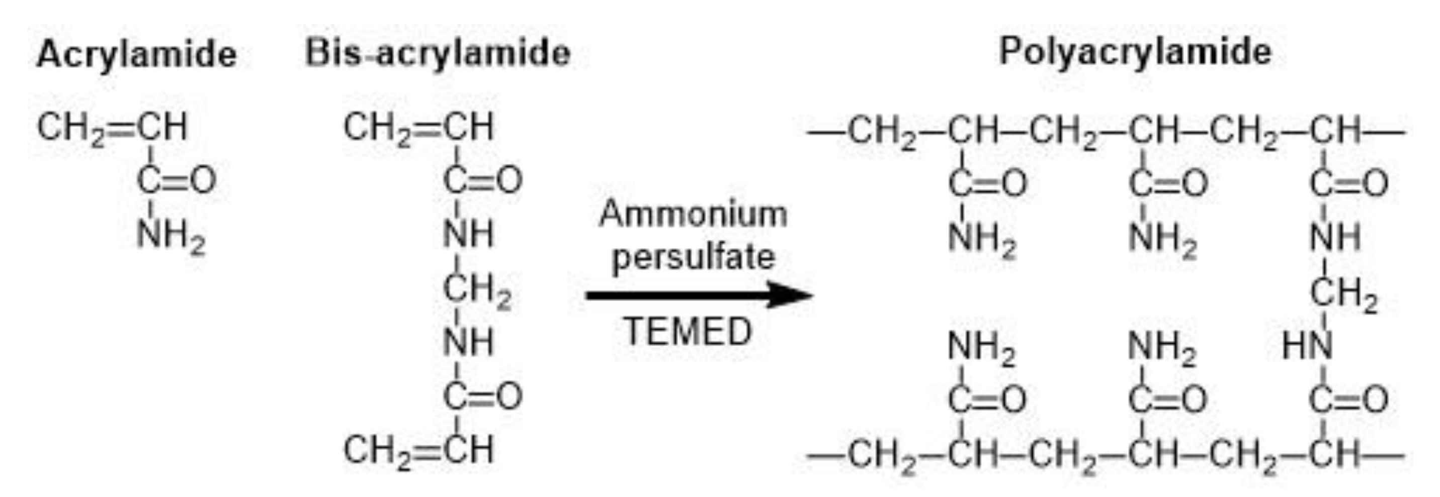 Molecules 26 03752 g022 Molecules 26 03752 g022