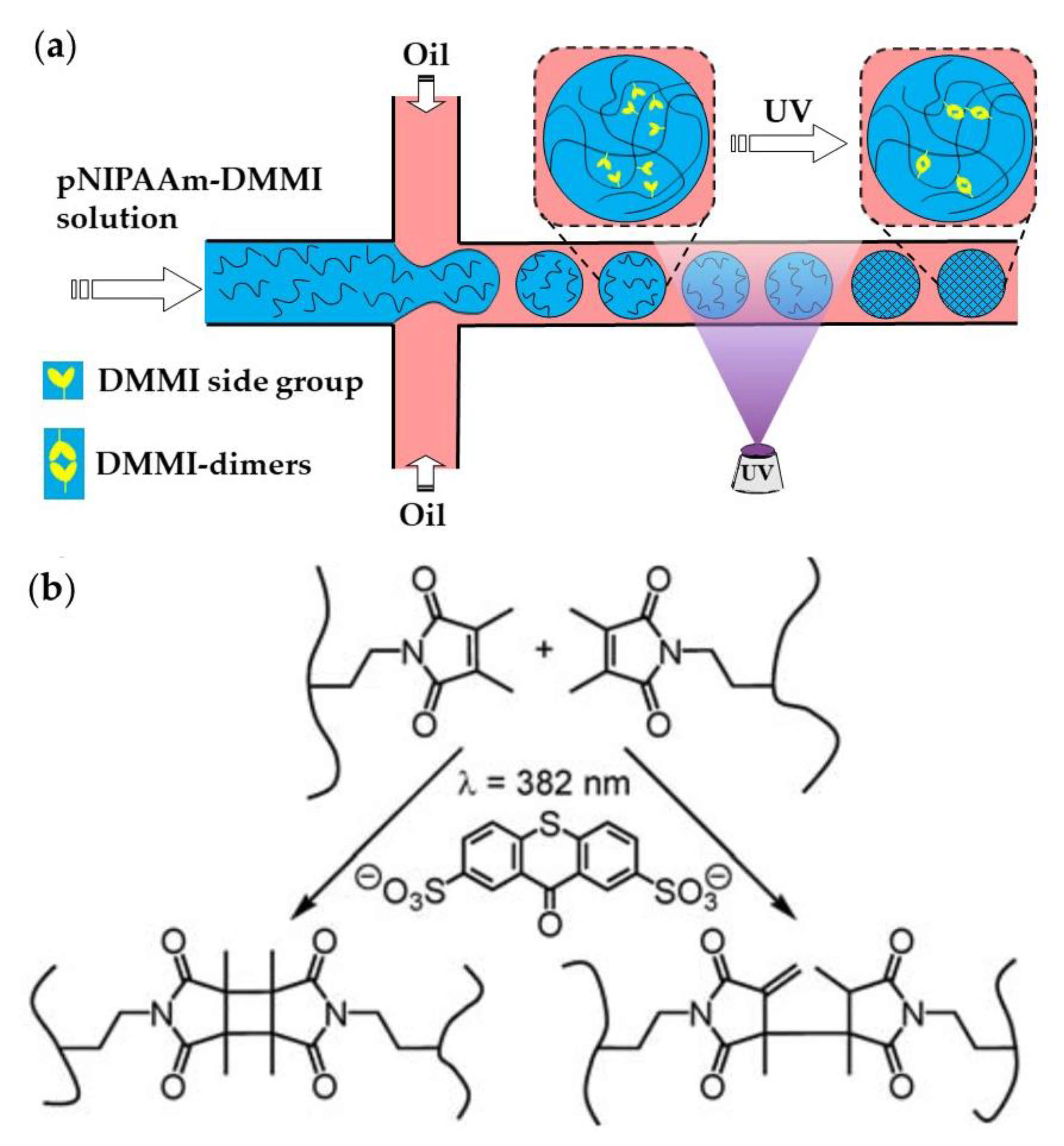 Molecules 26 03752 g023 Molecules 26 03752 g023