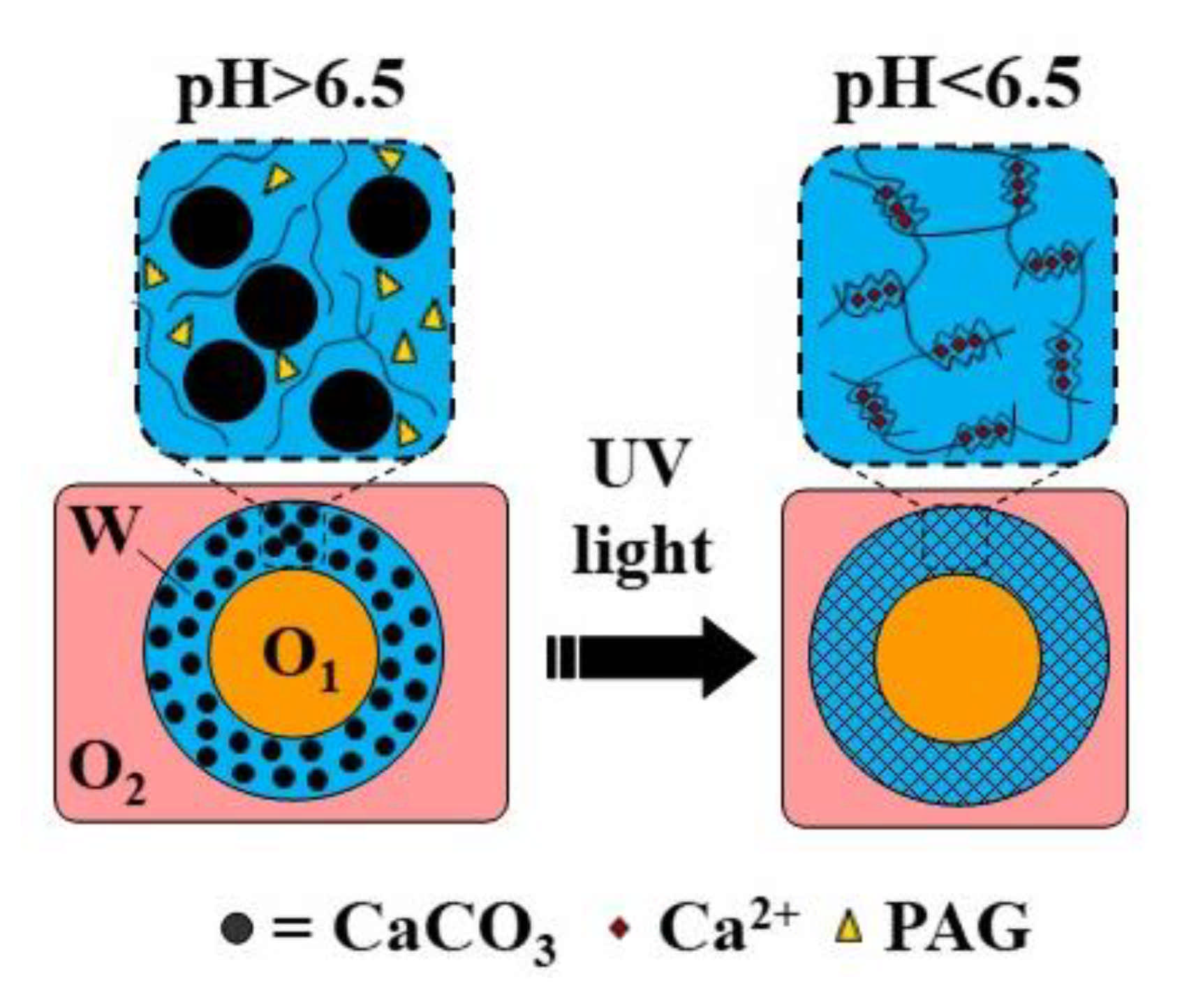 Molecules 26 03752 g030 Molecules 26 03752 g030