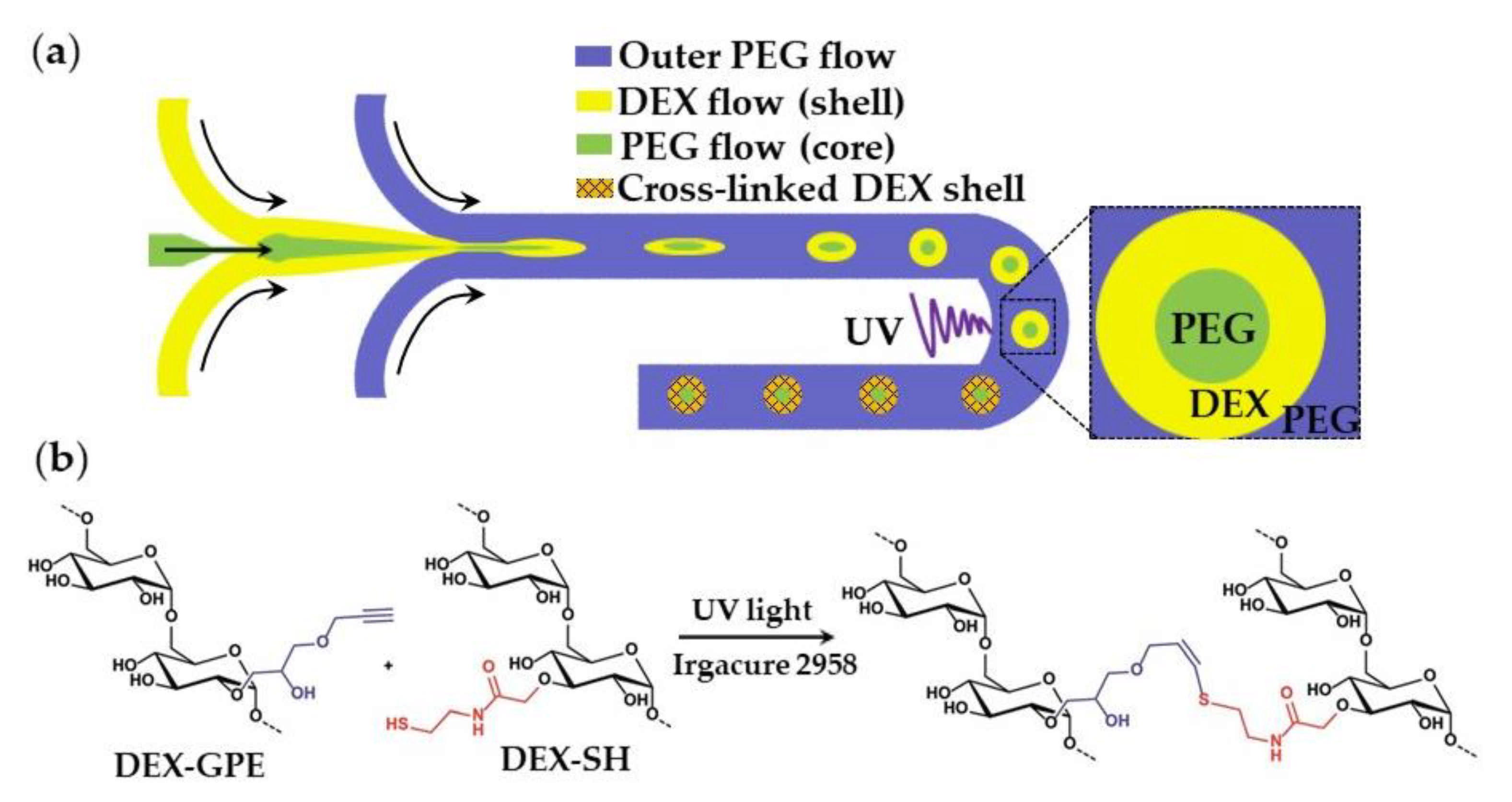 Molecules 26 03752 g031 Molecules 26 03752 g031