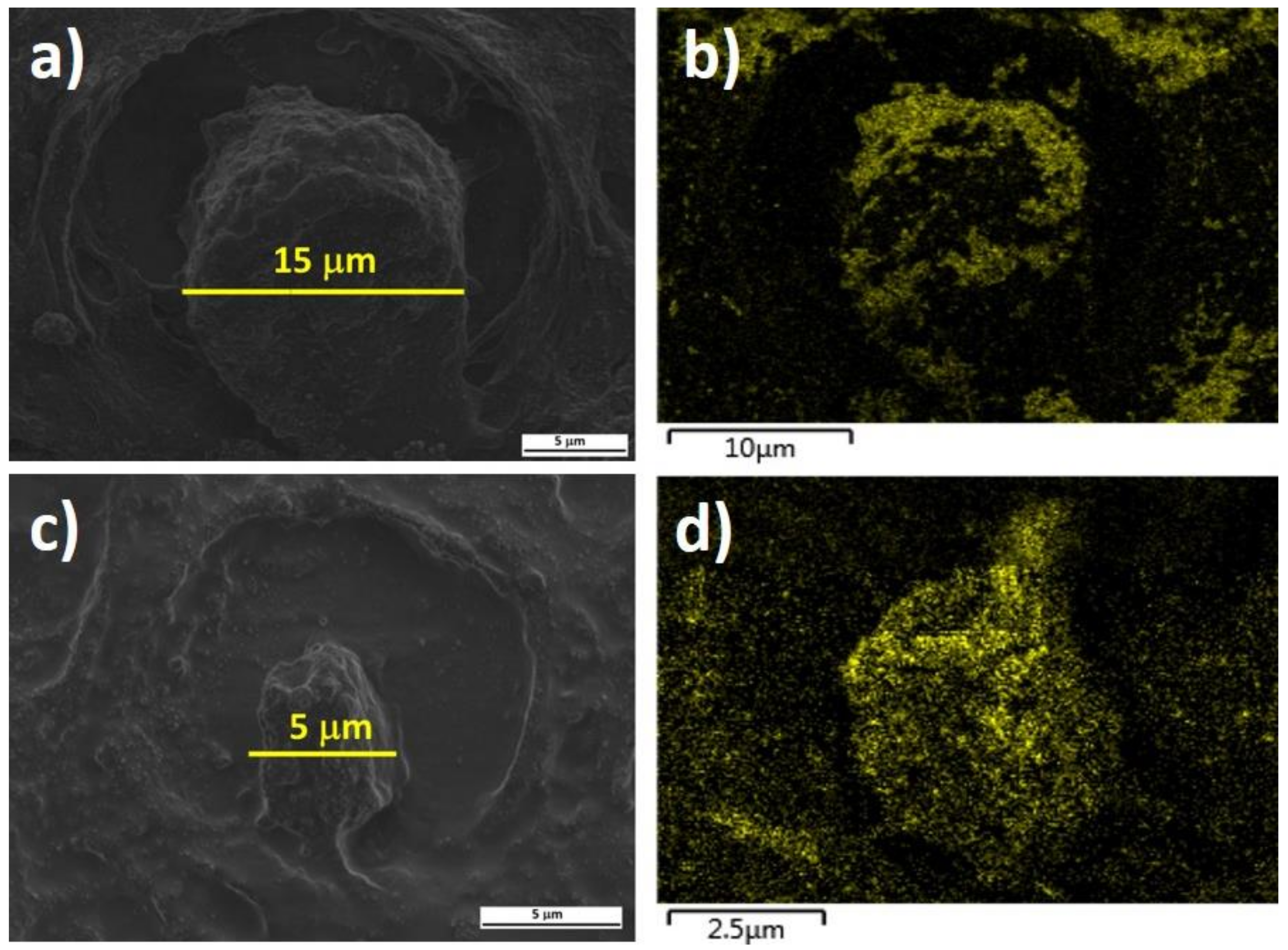 Molecules 26 03758 g002 Molecules 26 03758 g002