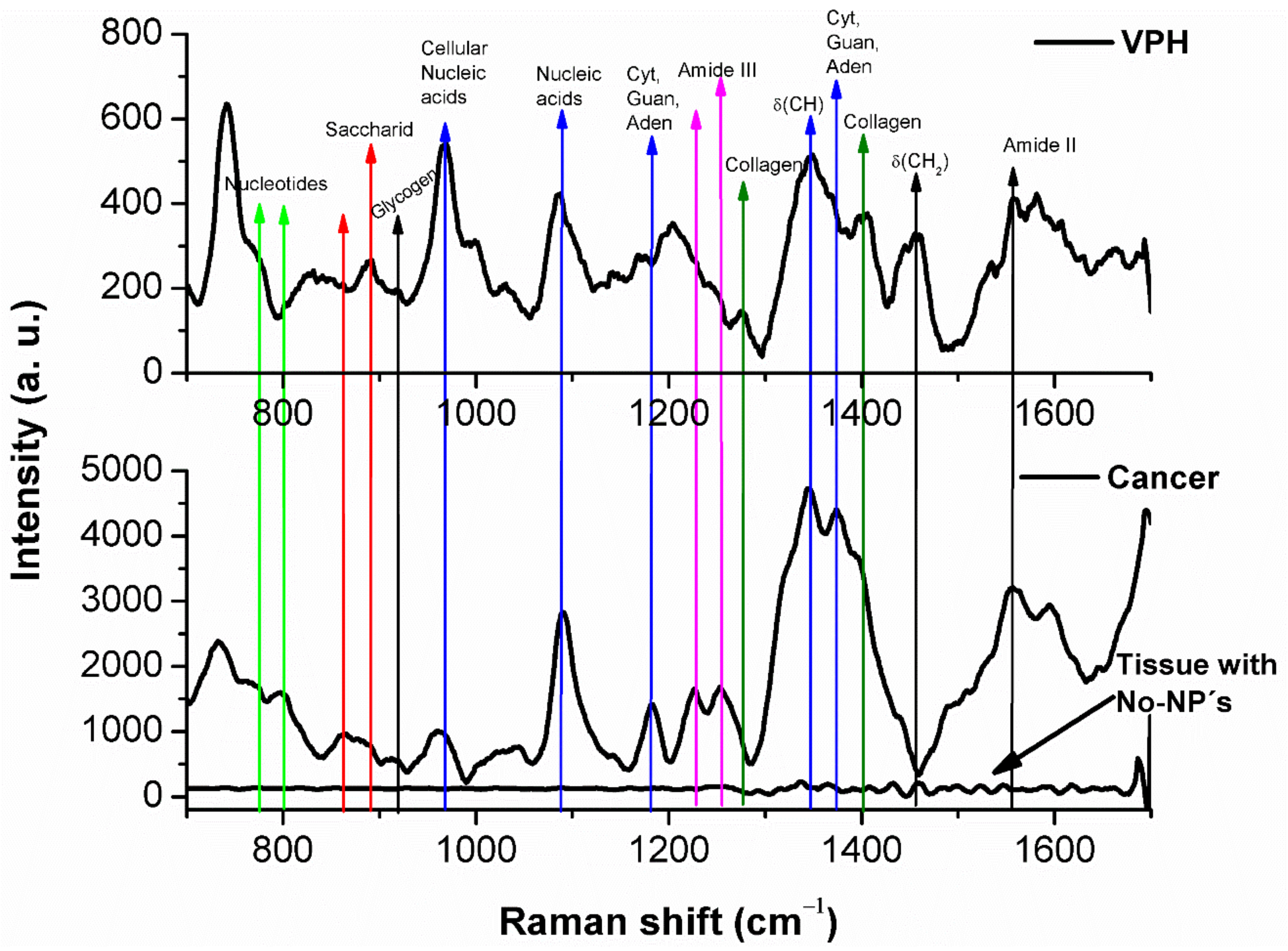 Molecules 26 03758 g004 Molecules 26 03758 g004
