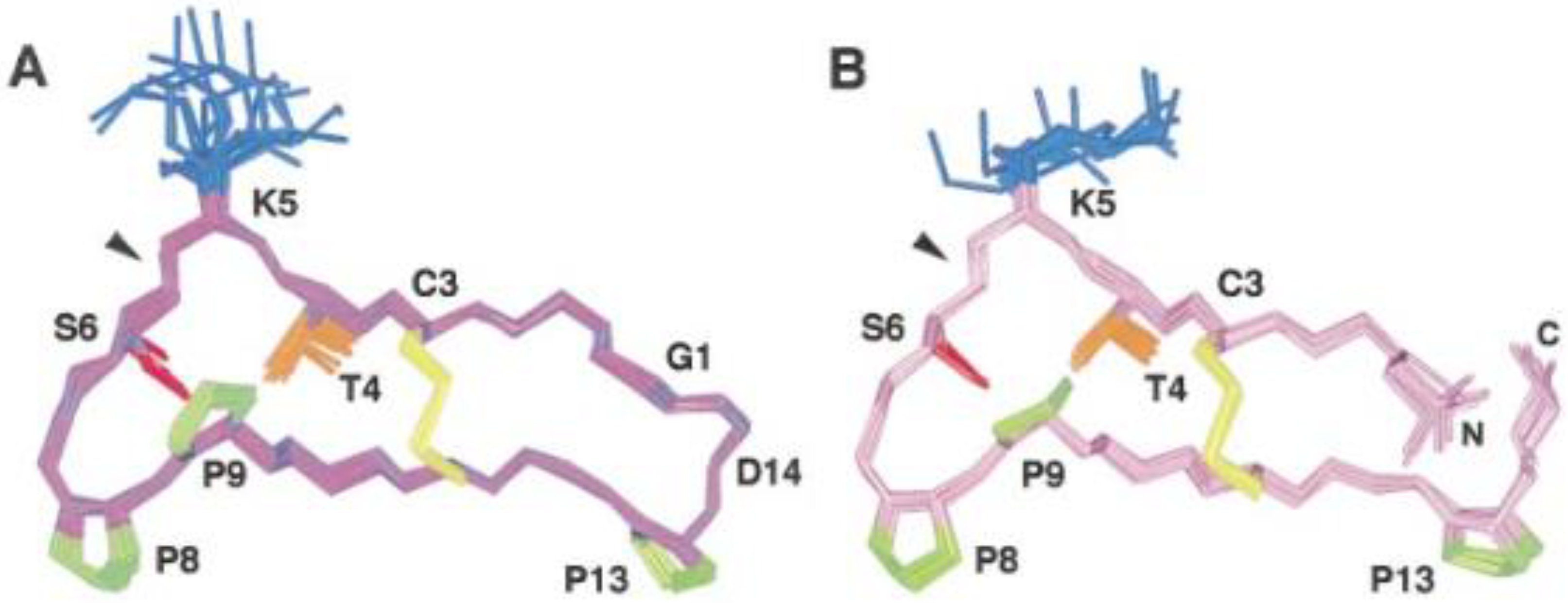 Molecules 26 03763 g030 550