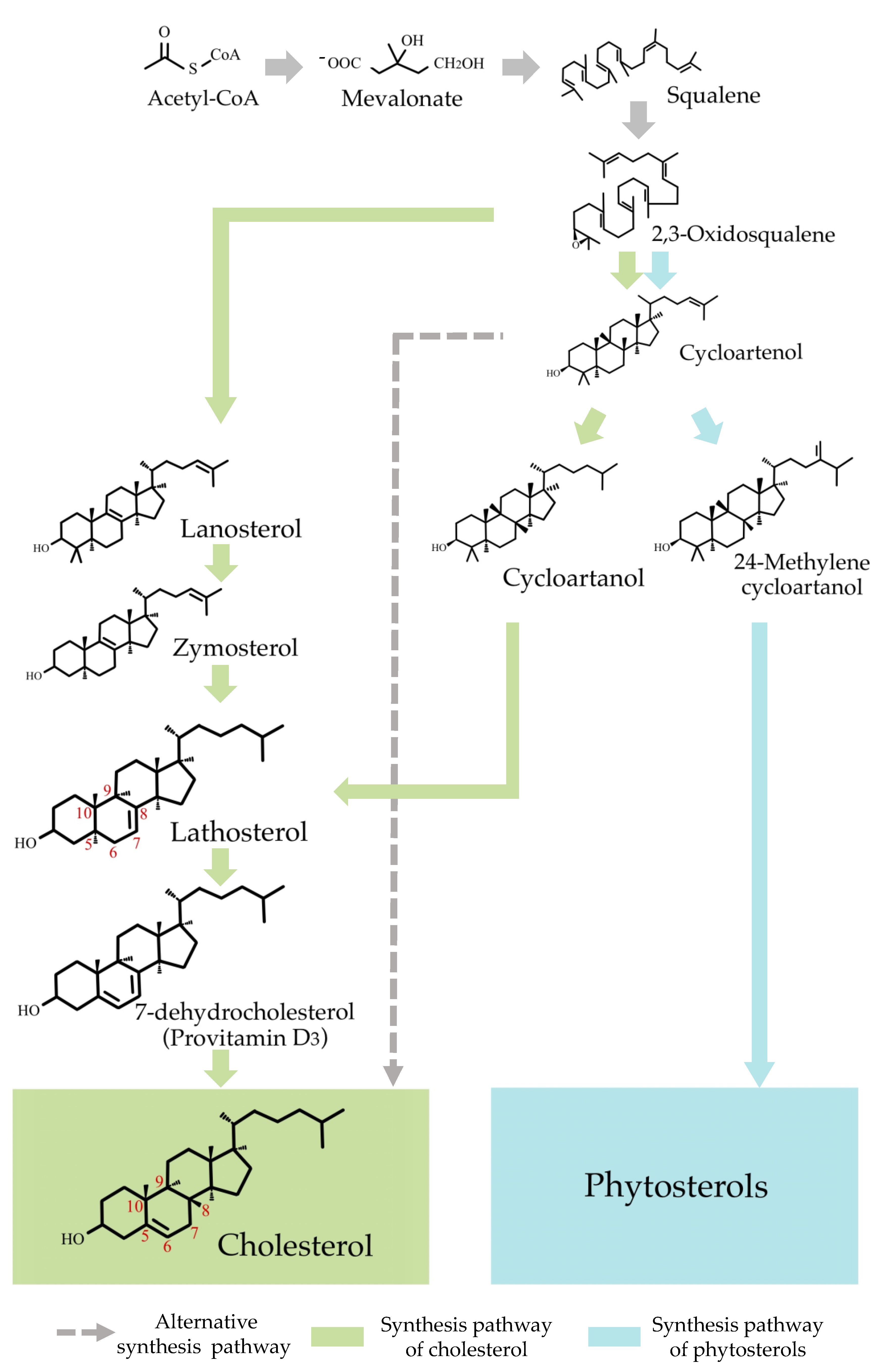 Molecules 26 03767 g005