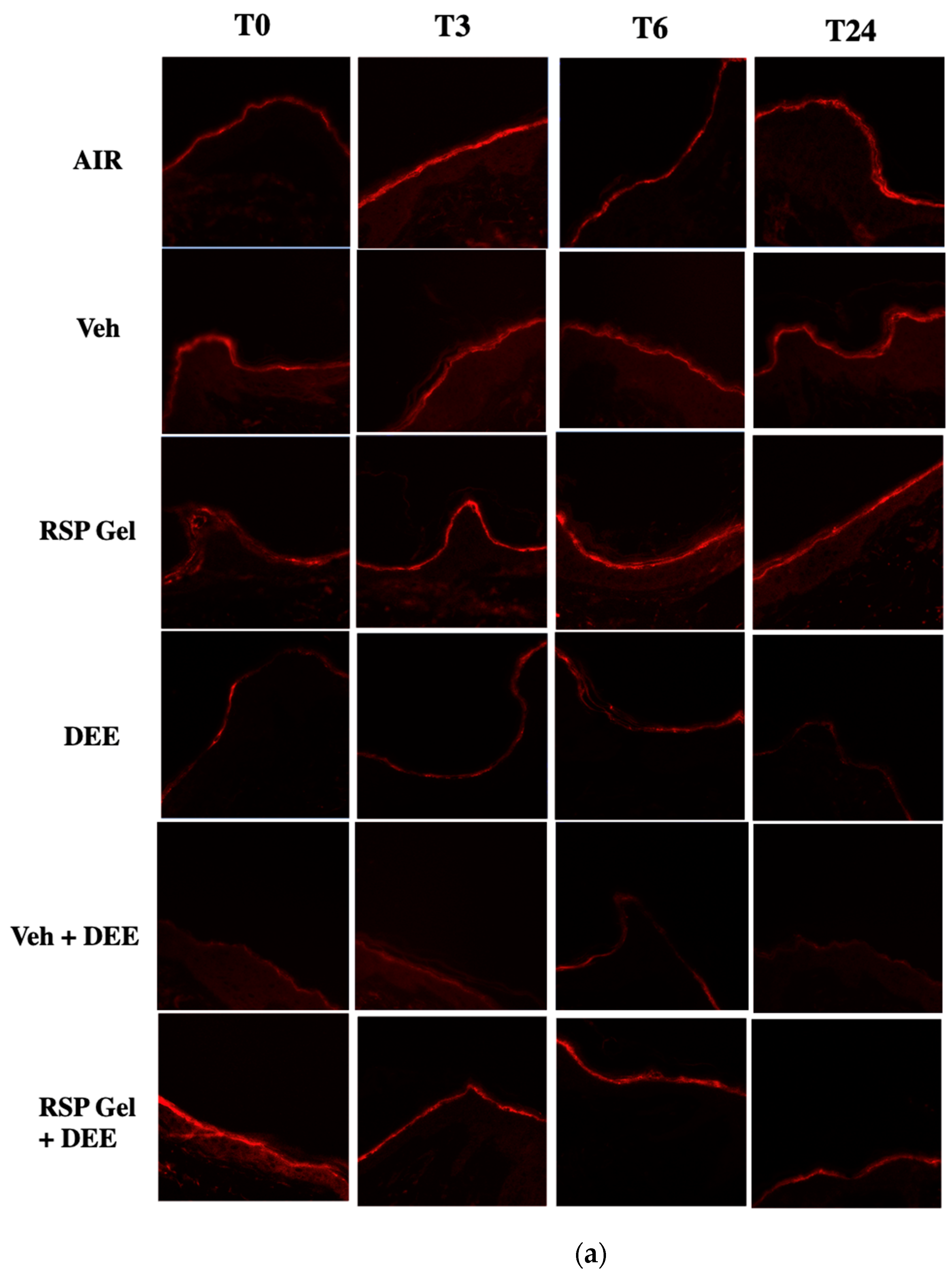 Molecules 26 03781 g006a 550
