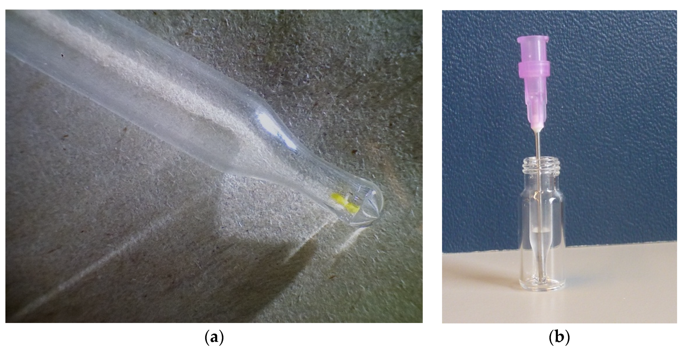 Molecules 26 03787 g003
