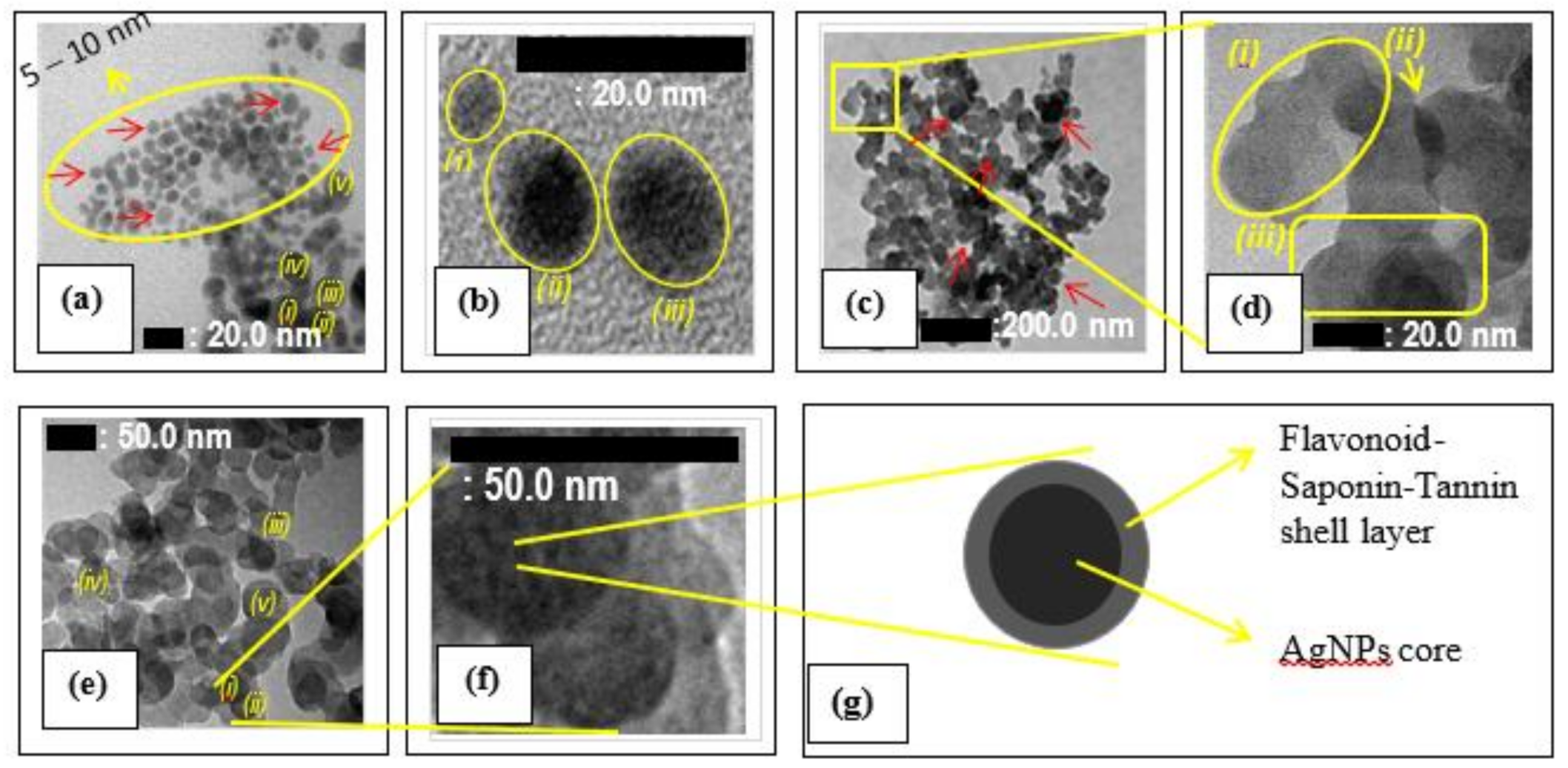 Molecules 26 03790 g002 550