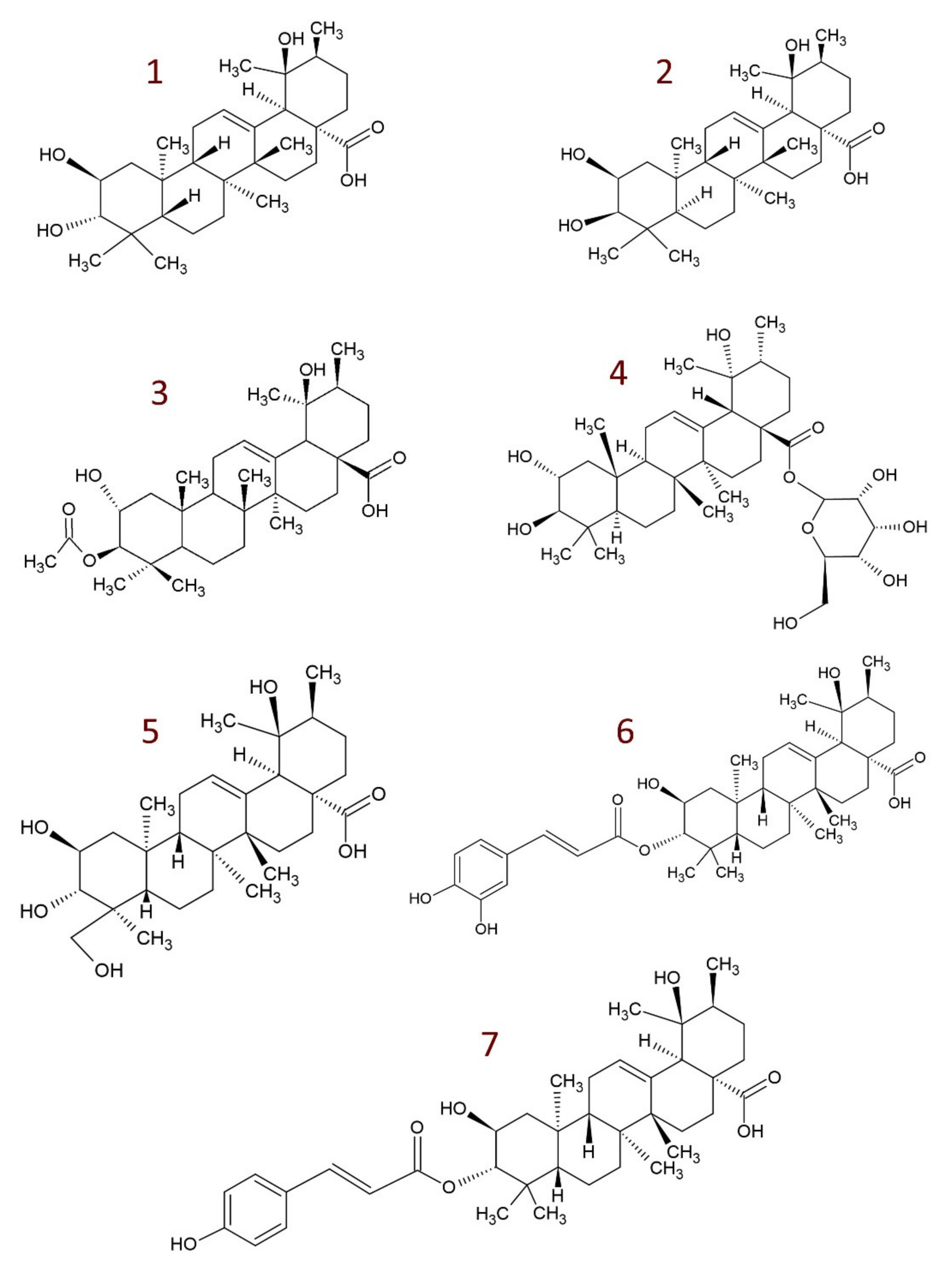 Molecules 26 03797 g001