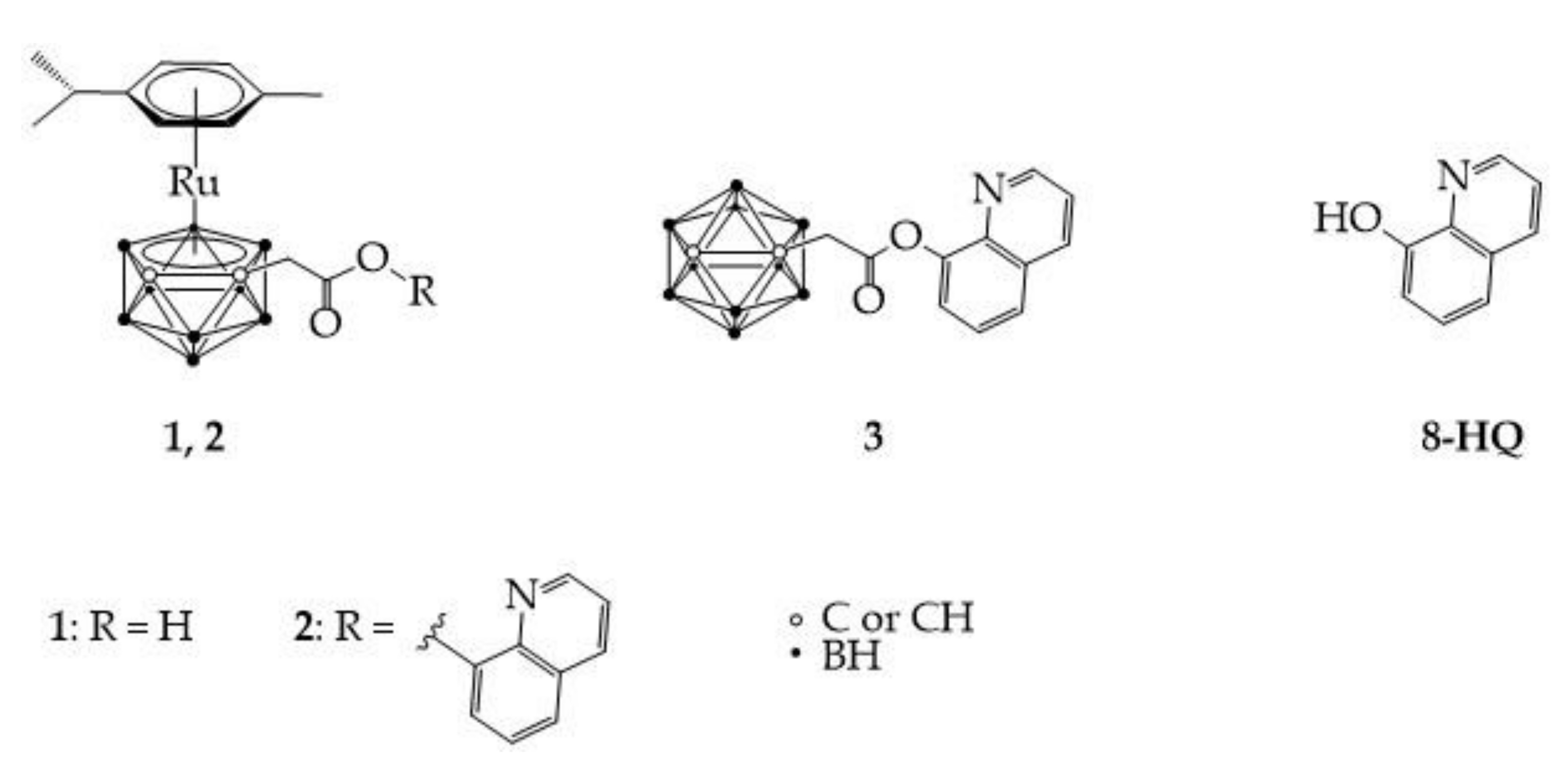 Molecules 26 03801 g001
