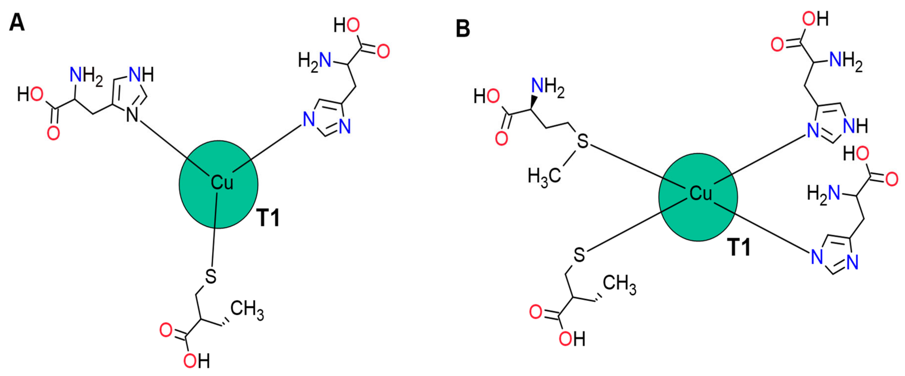 Molecules Free Full Text A Brief History Of Colour The Environmental Impact Of Synthetic Dyes And Removal By Using Laccases Html