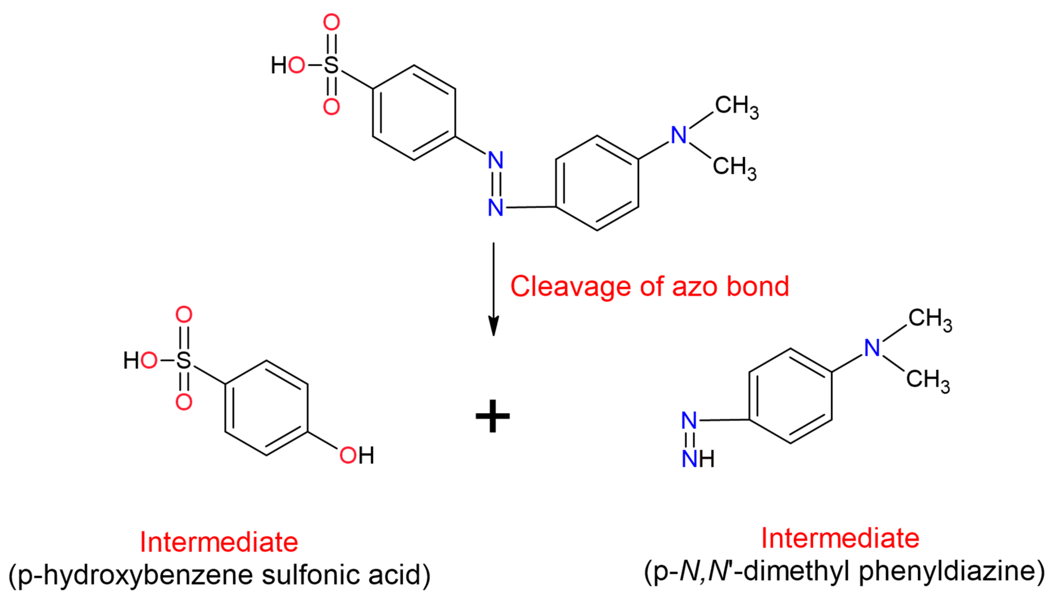Molecules 26 03813 g004