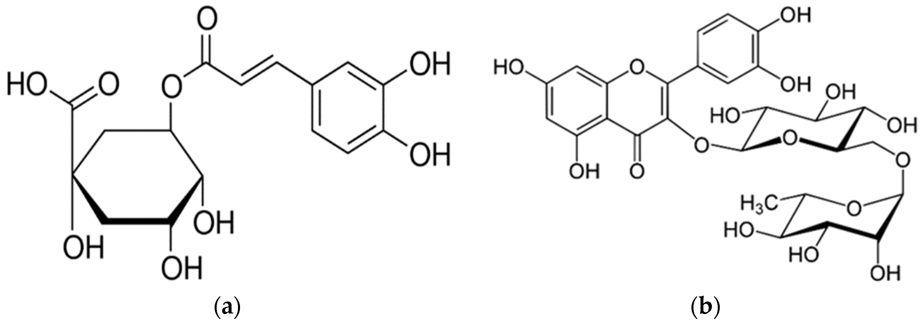 methotrexat | Onkológiai Részleg