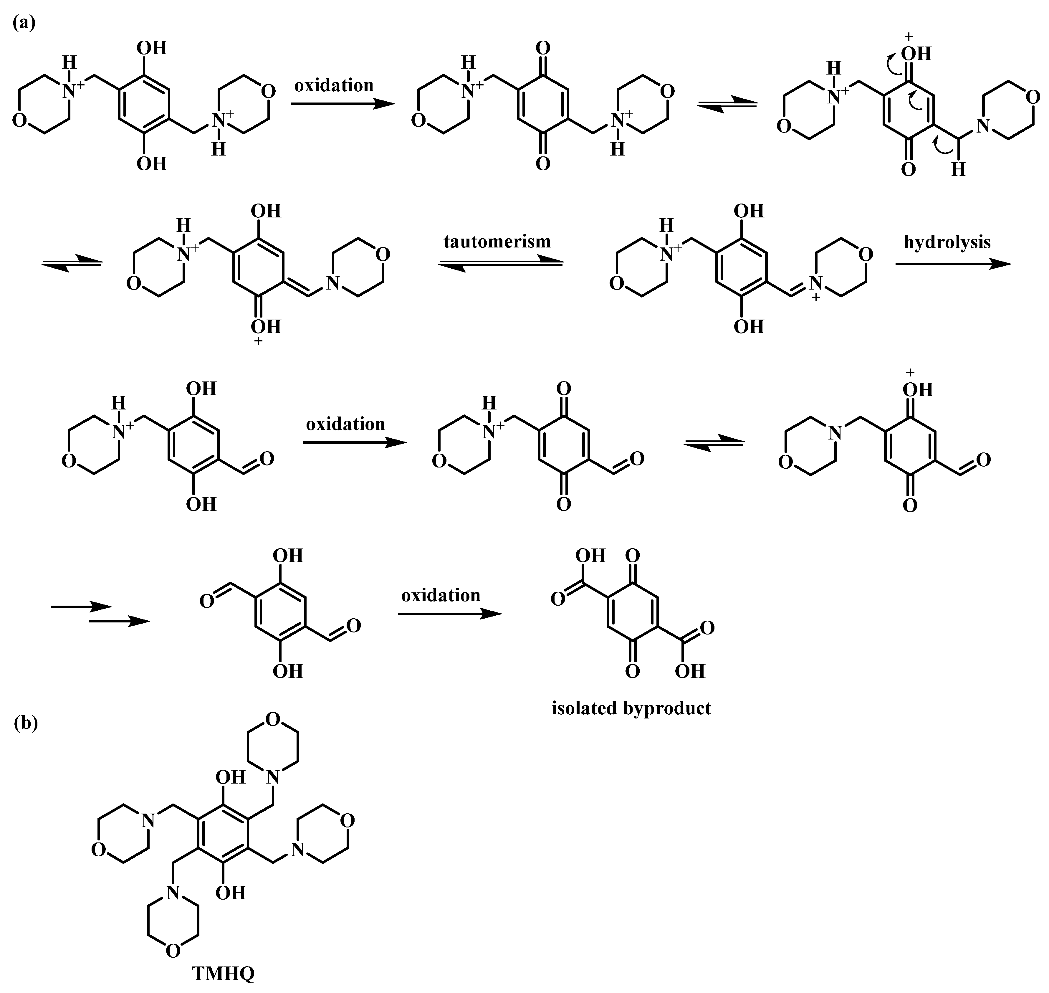 Molecules 26 03823 g003