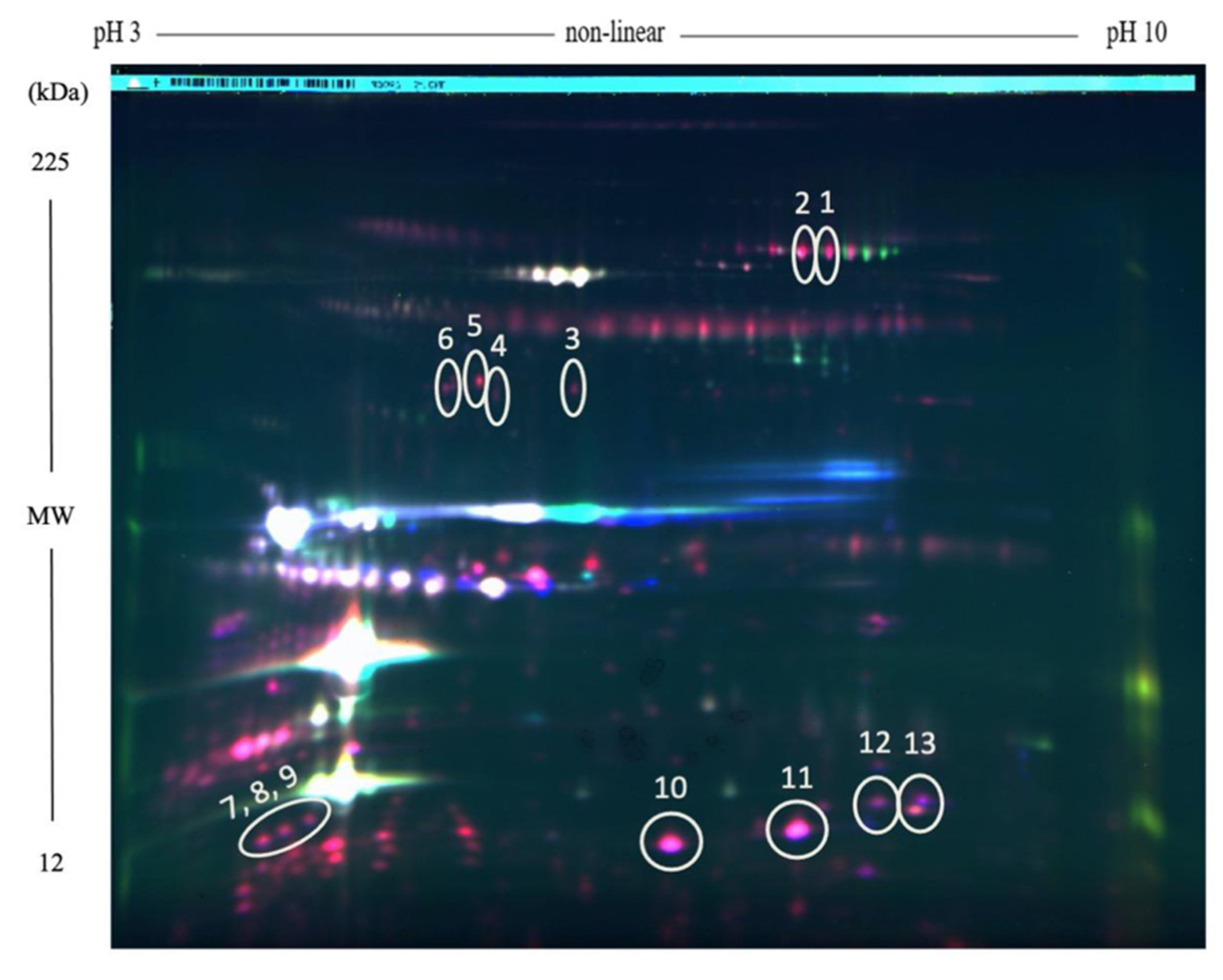 Molecules 26 03832 g002 Molecules 26 03832 g002