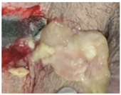 Molecules 26 03834 i006