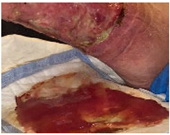 Molecules 26 03834 i007