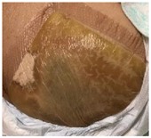 Molecules 26 03834 i012