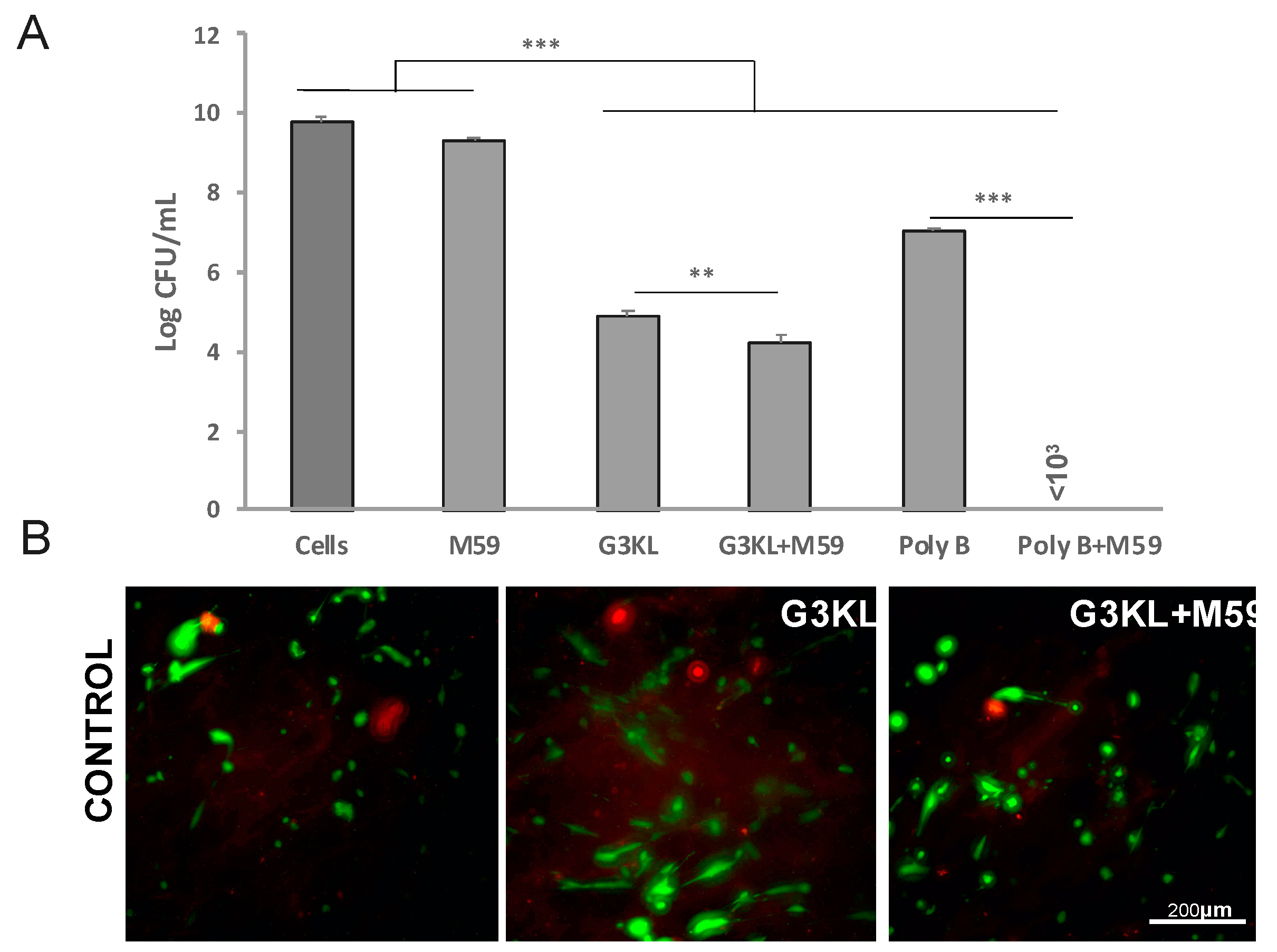 Molecules 26 03839 g005 550