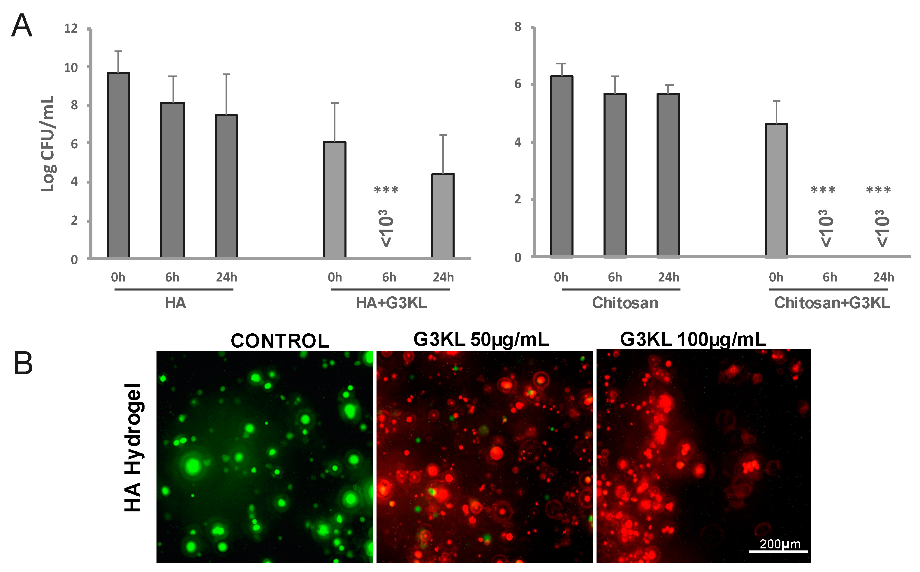 Molecules 26 03839 g006 550