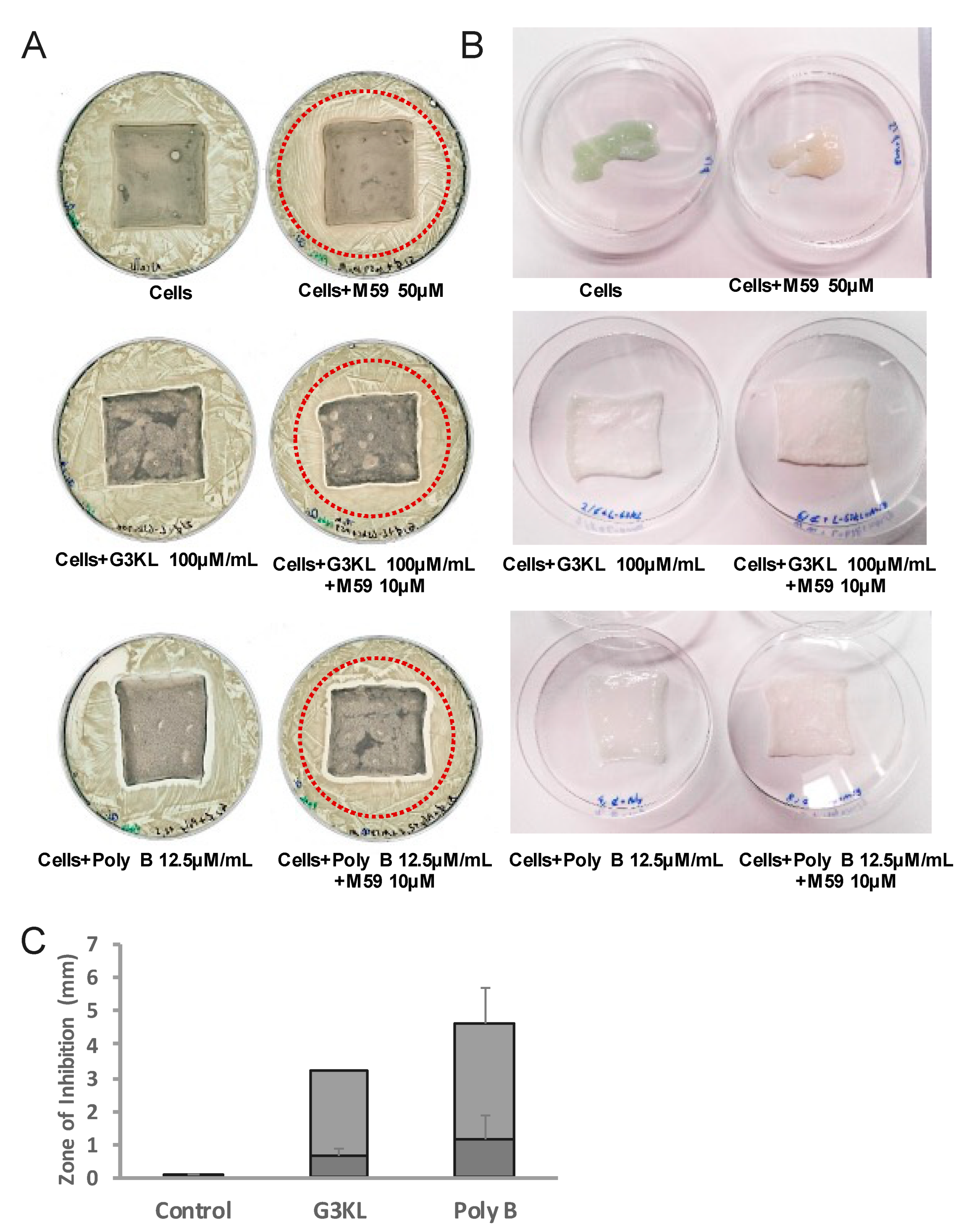 Molecules 26 03839 g007 550