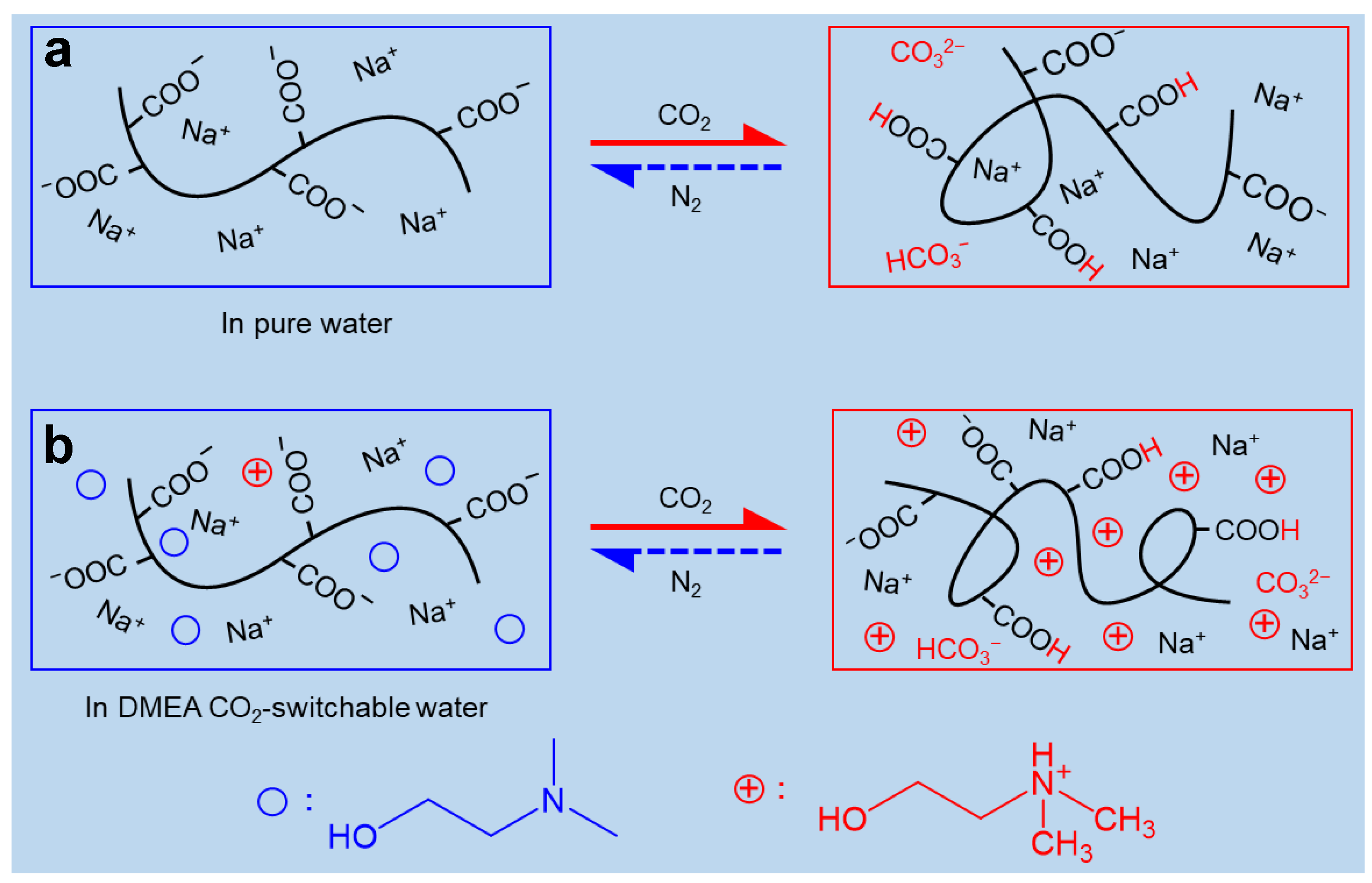 Molecules 26 03840 sch002