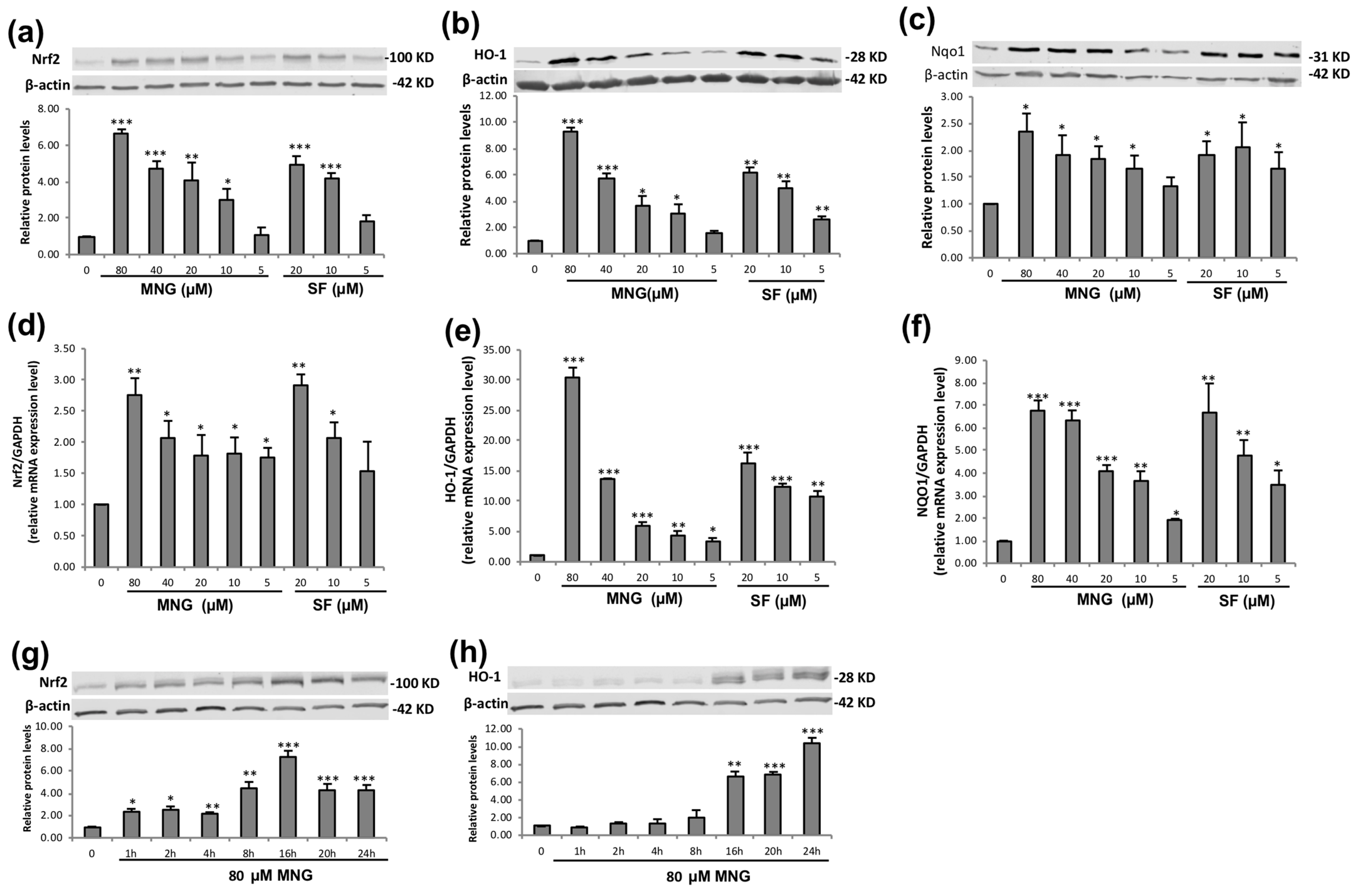 Molecules 26 03852 g003 550