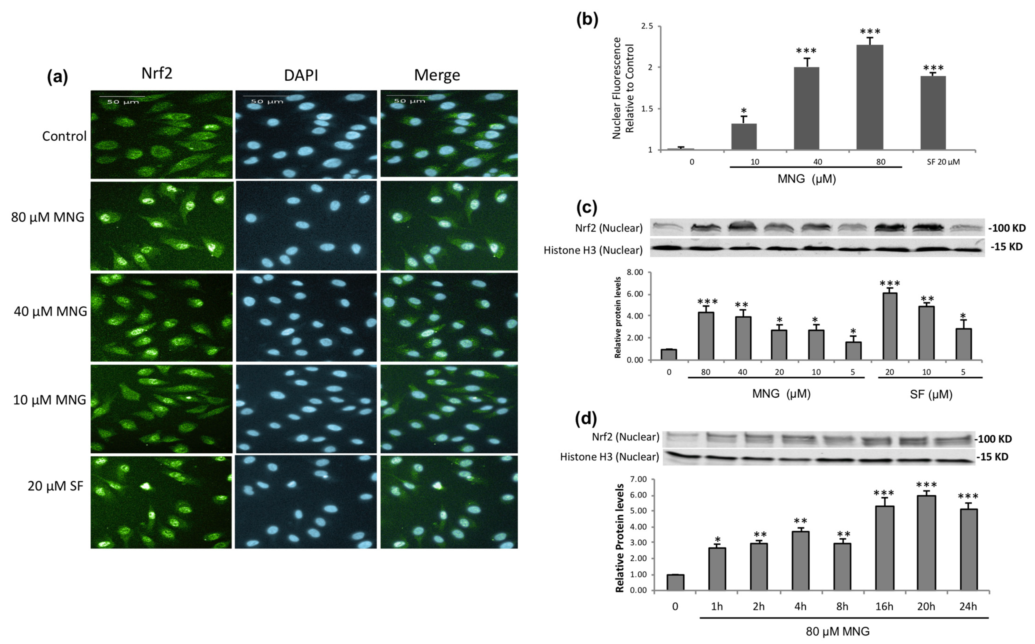Molecules 26 03852 g004 550