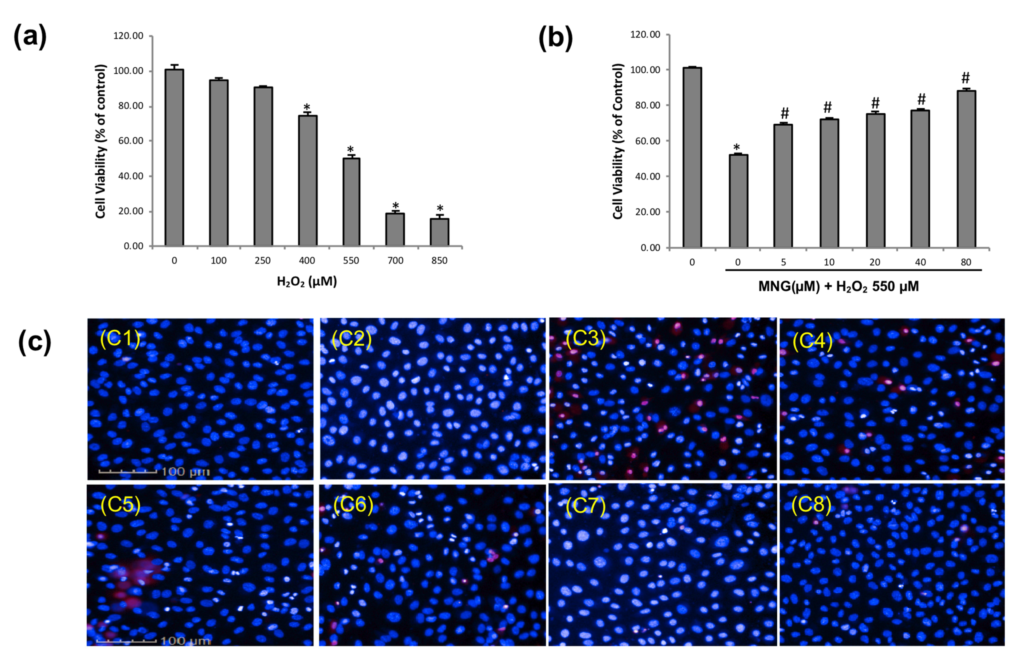 Molecules 26 03852 g005 550