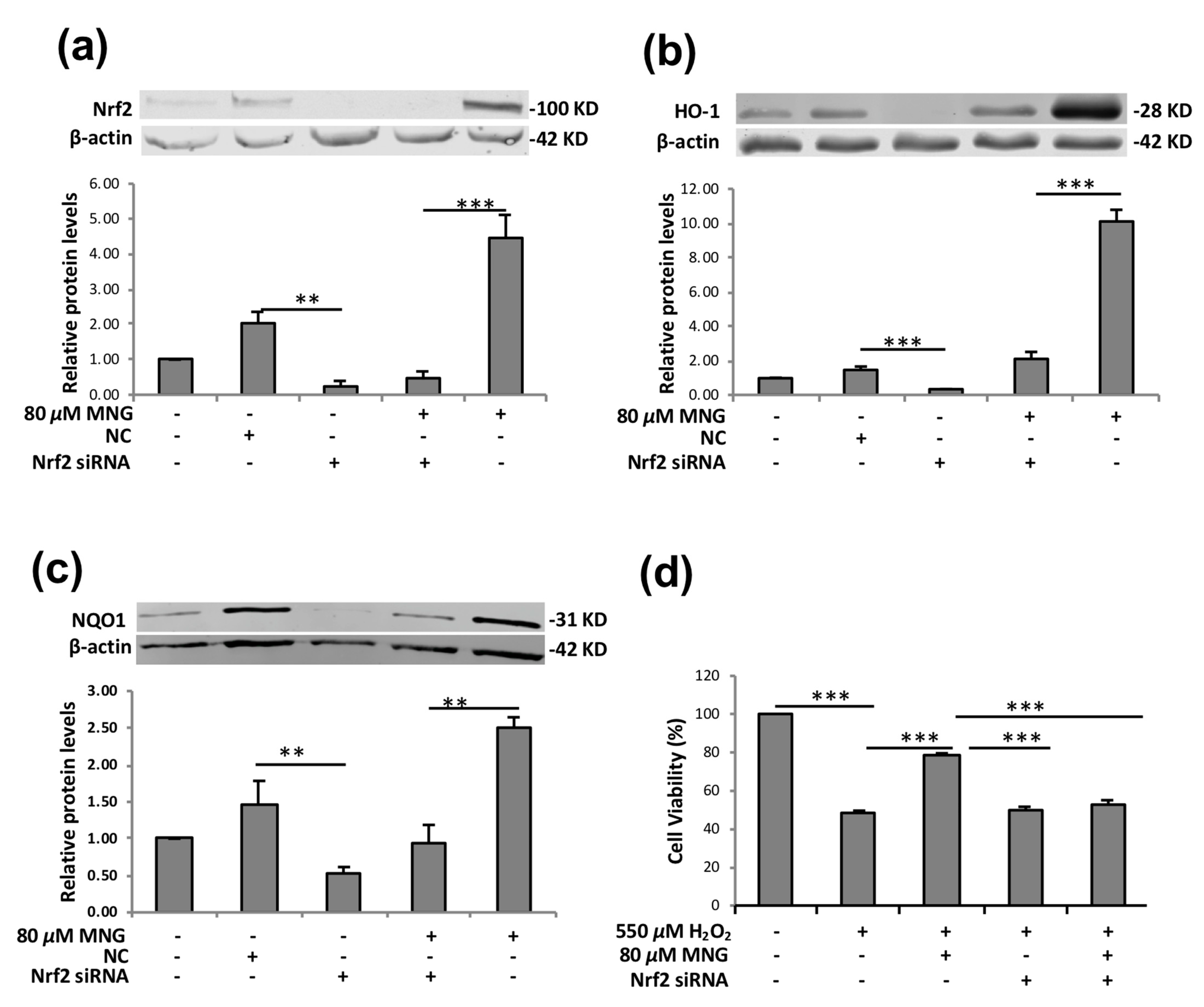Molecules 26 03852 g007 550