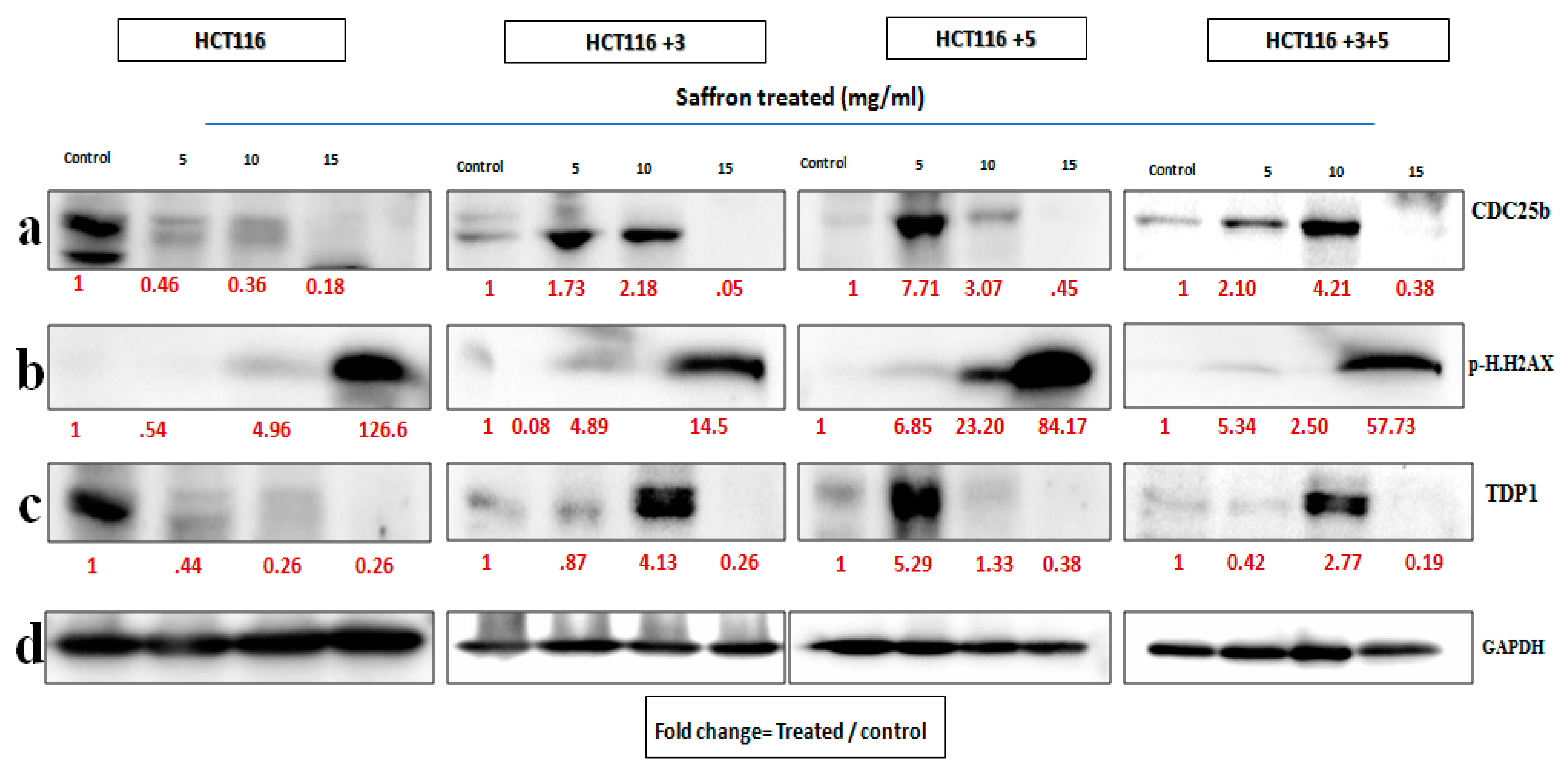 Molecules 26 03855 g006