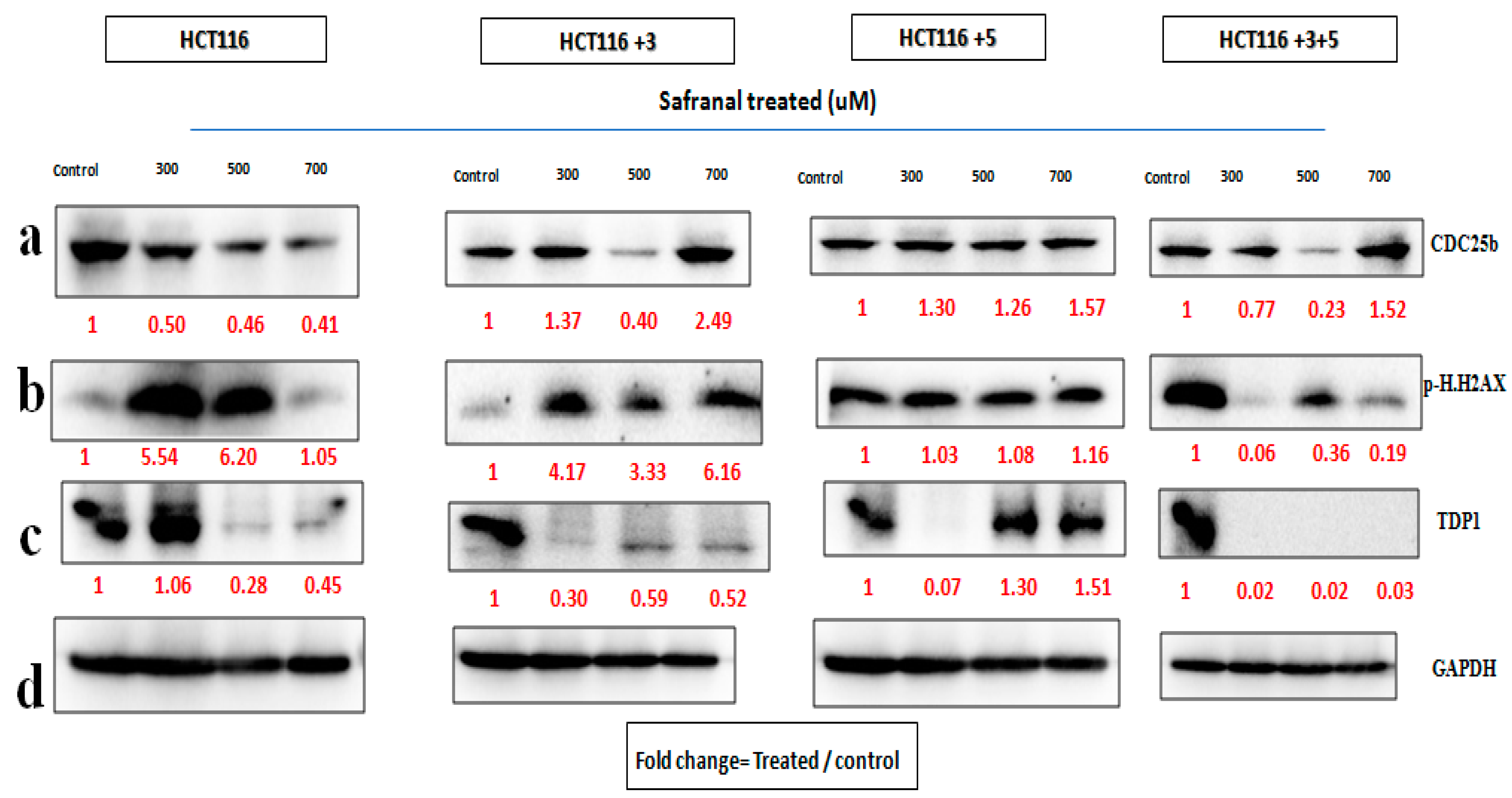 Molecules 26 03855 g007