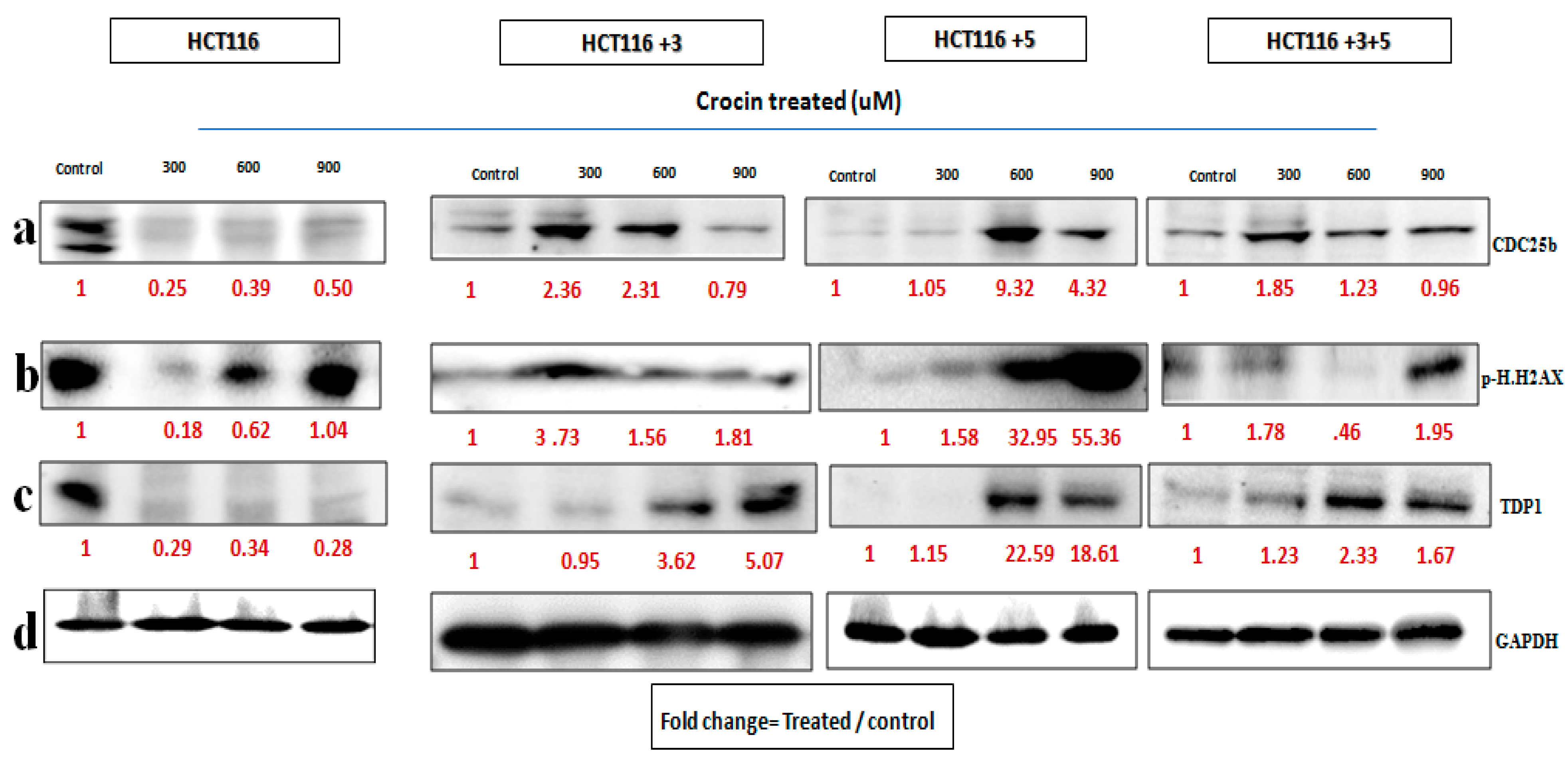 Molecules 26 03855 g008
