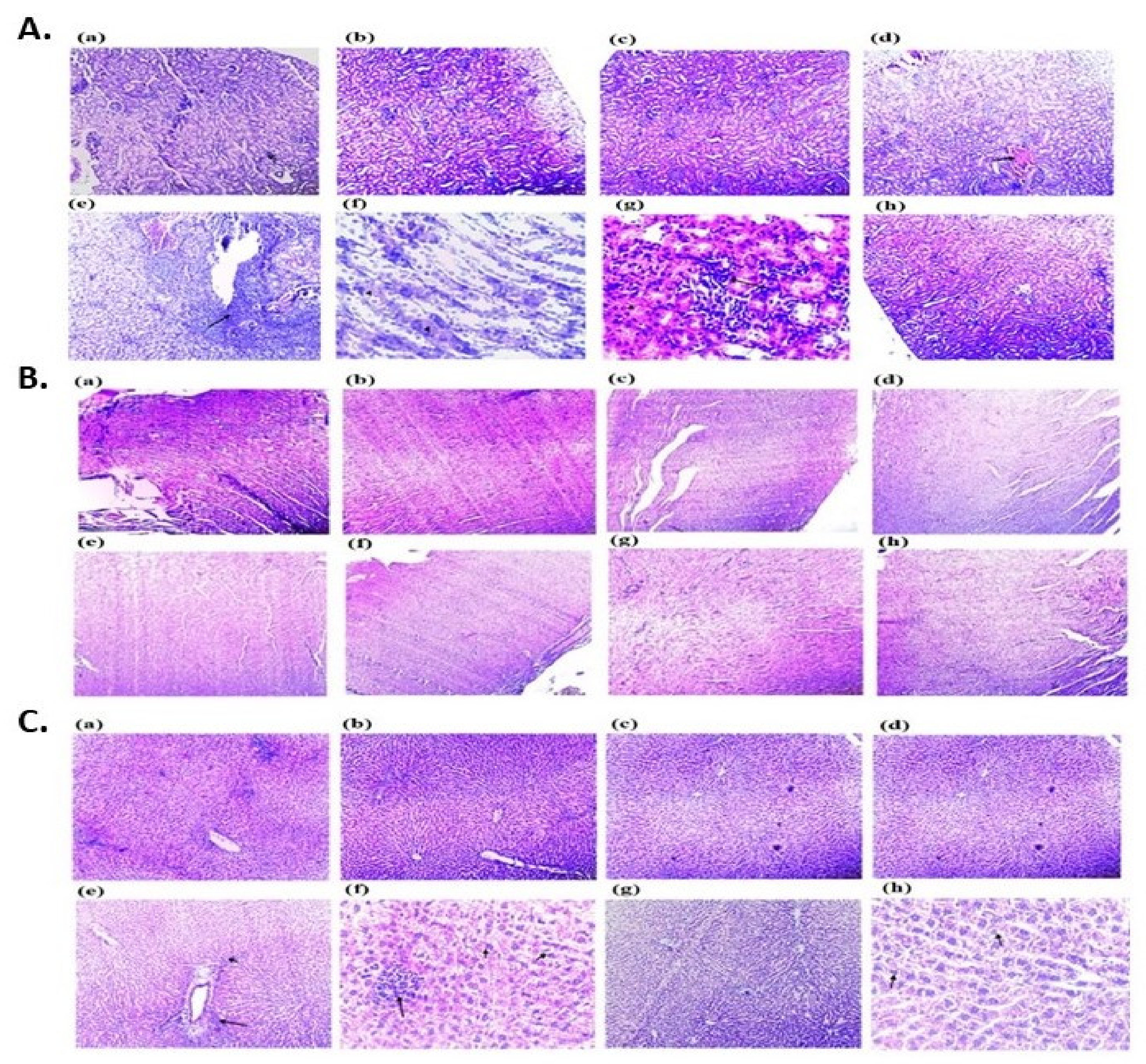 Molecules 26 03864 g005