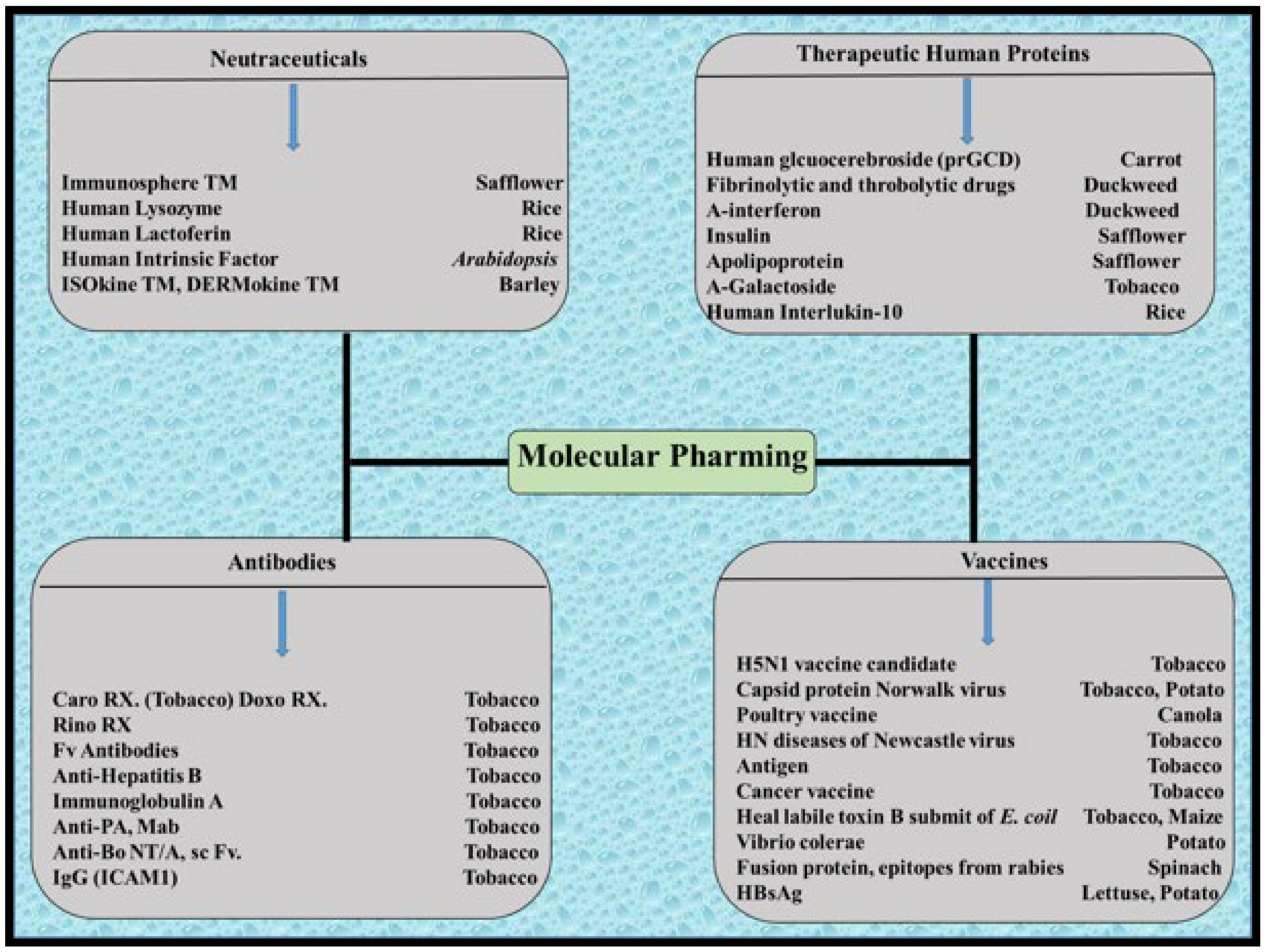 Molecules 26 03868 g004