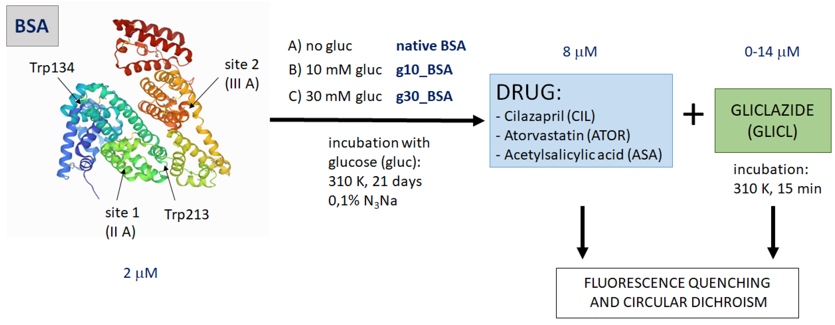 How Does Glycation Affect Binding Parameters of the Albumin