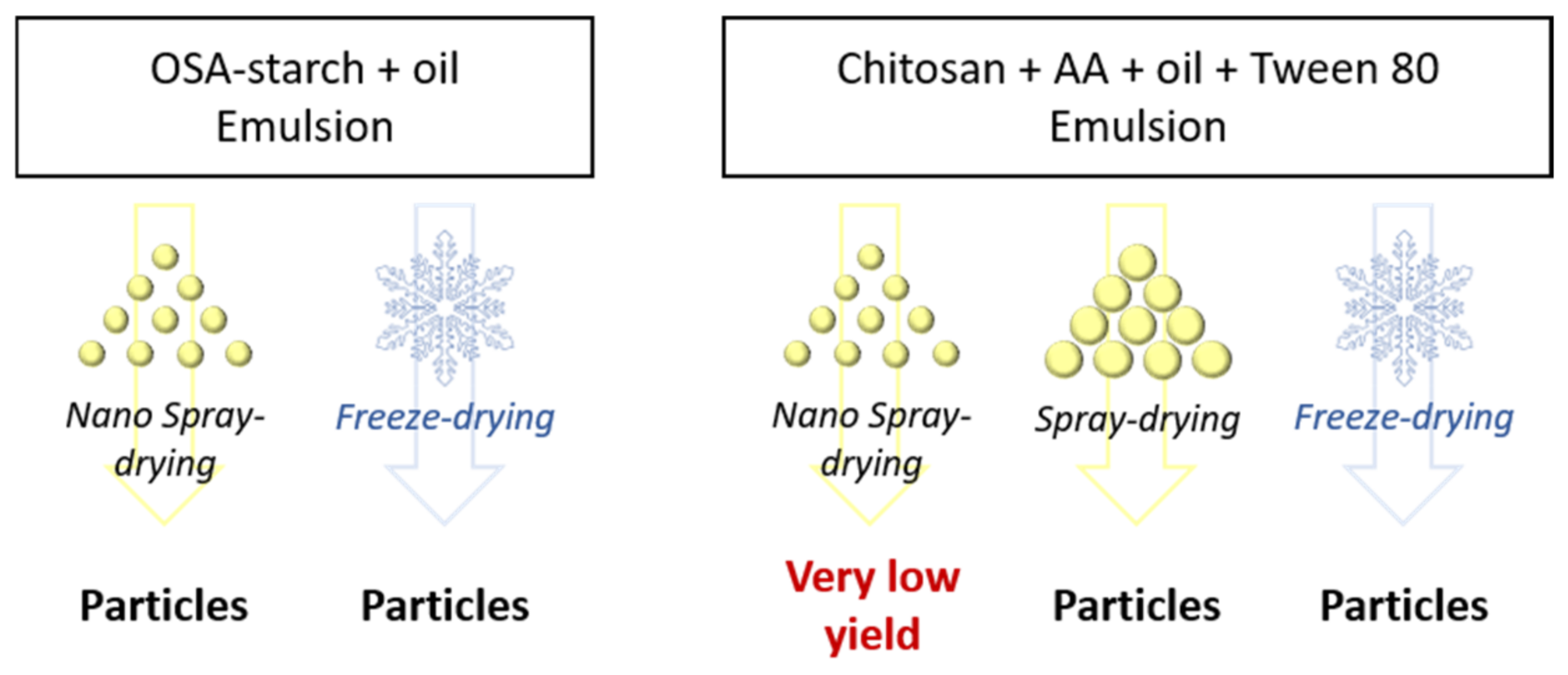 Molecules 26 03873 g004