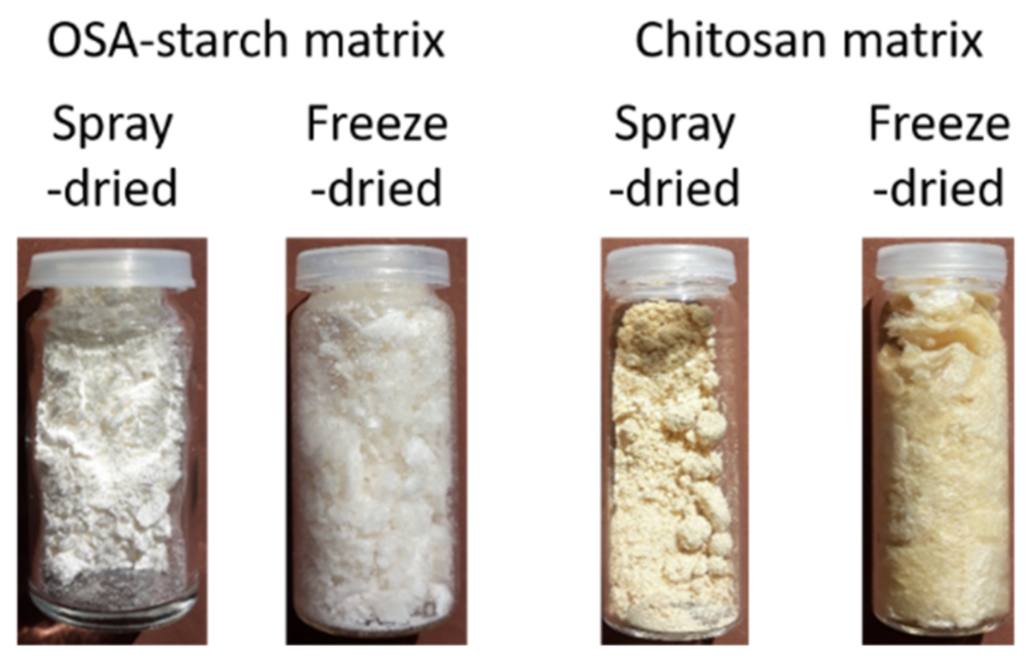 Molecules 26 03873 g008