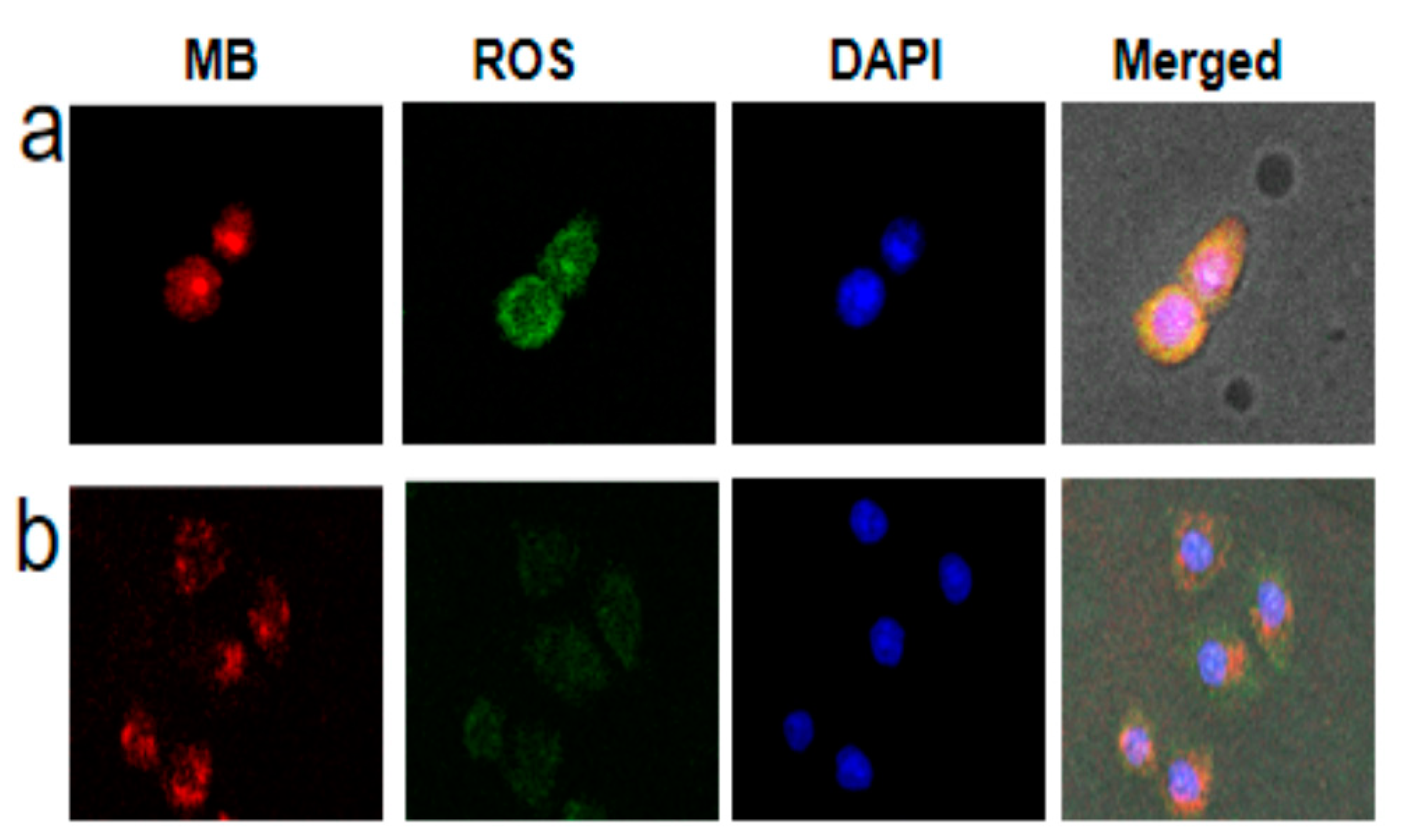 Molecules 26 03878 g003 550