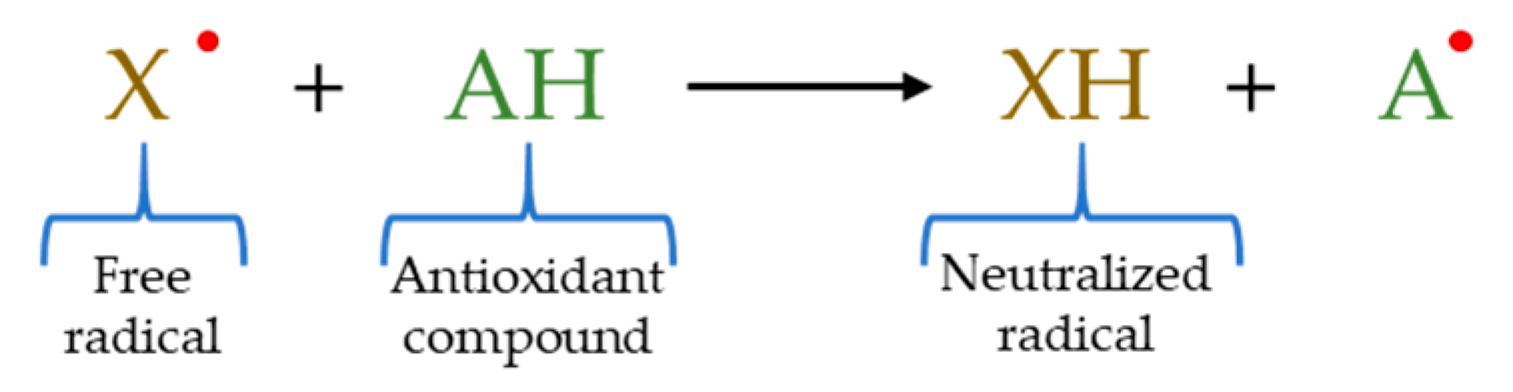 Molecules 26 03880 g001