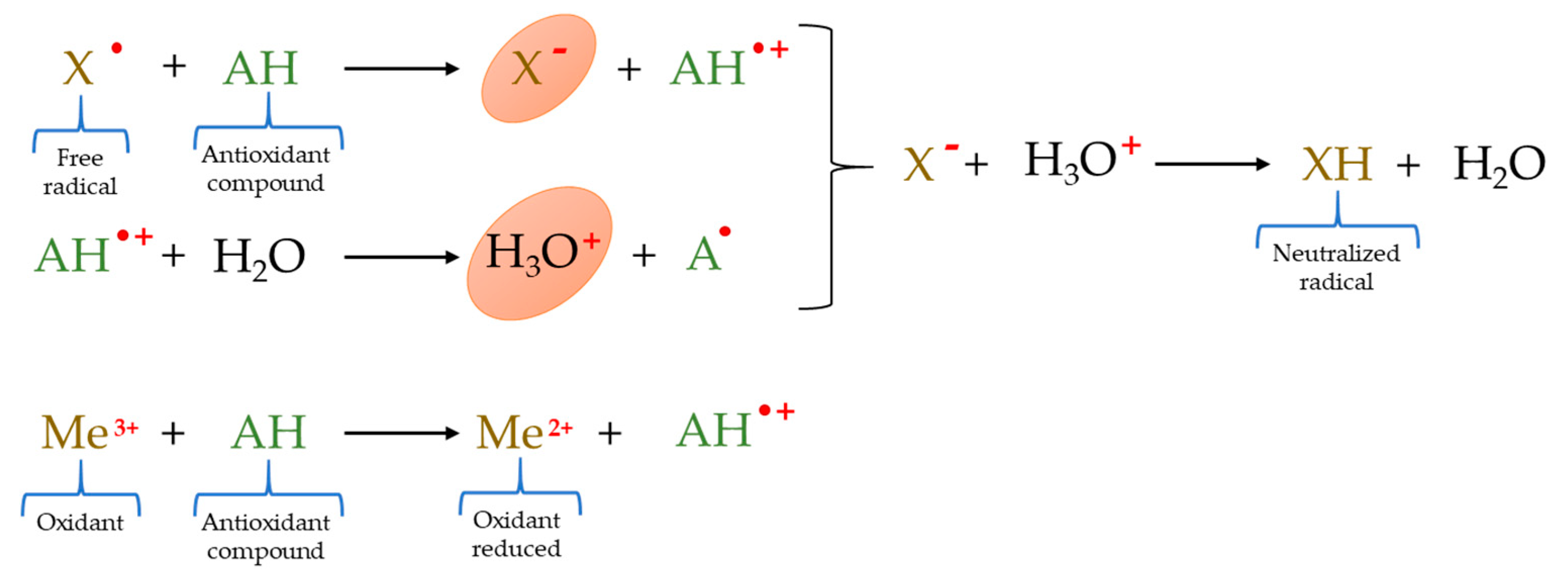 Molecules 26 03880 g002
