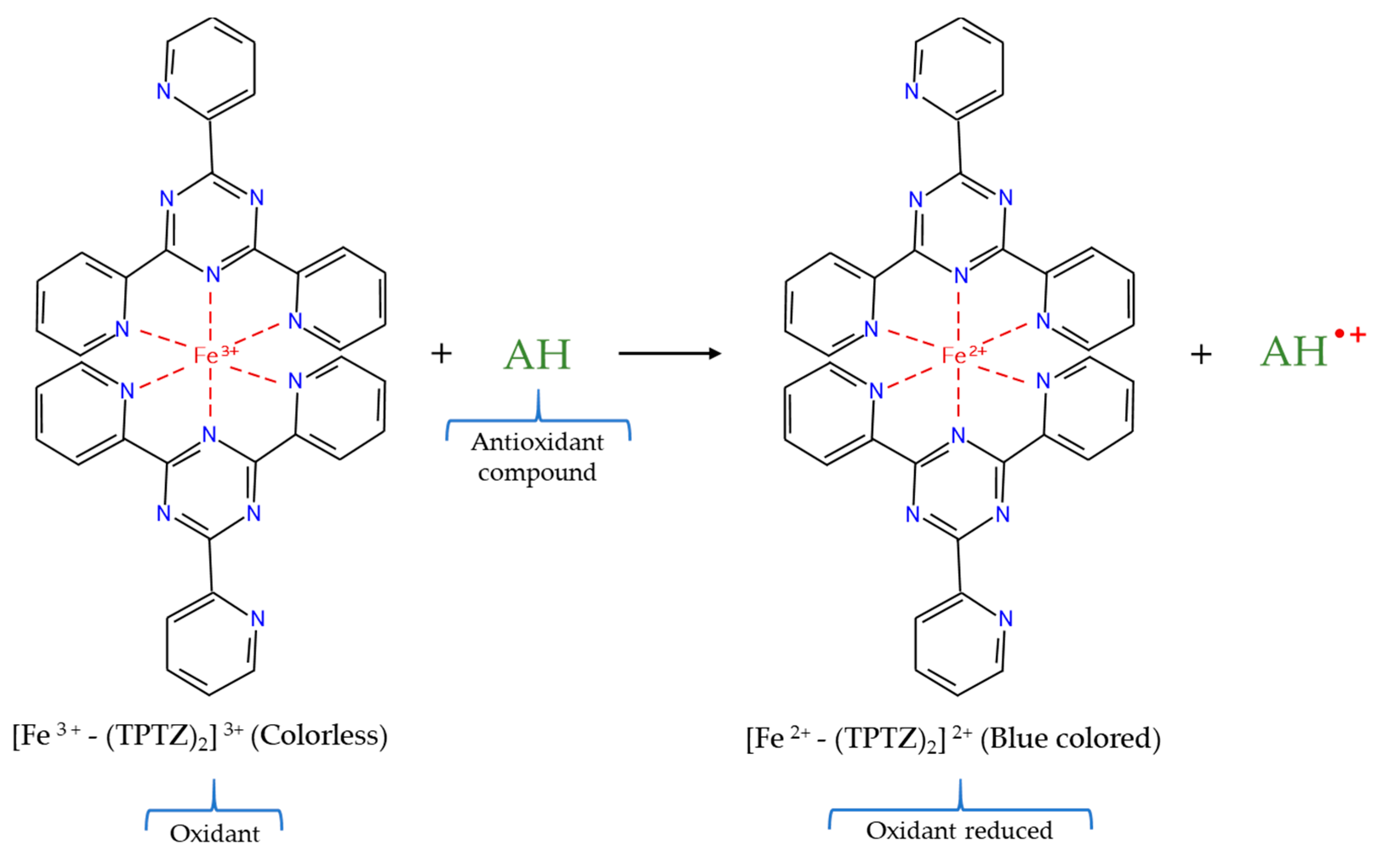 Molecules 26 03880 g004