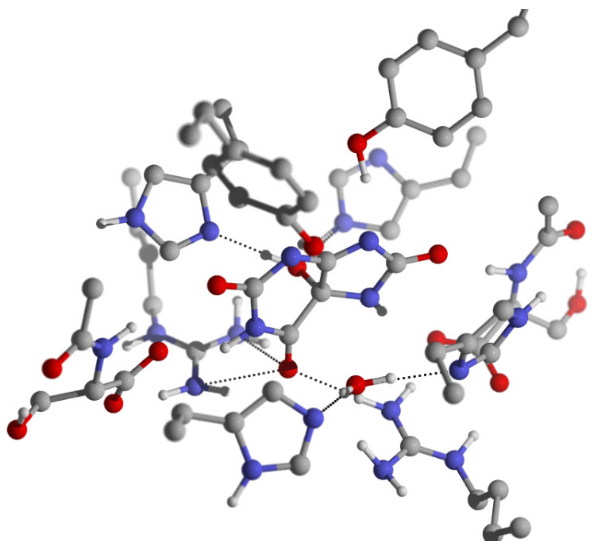Molecules 26 03884 g005 550